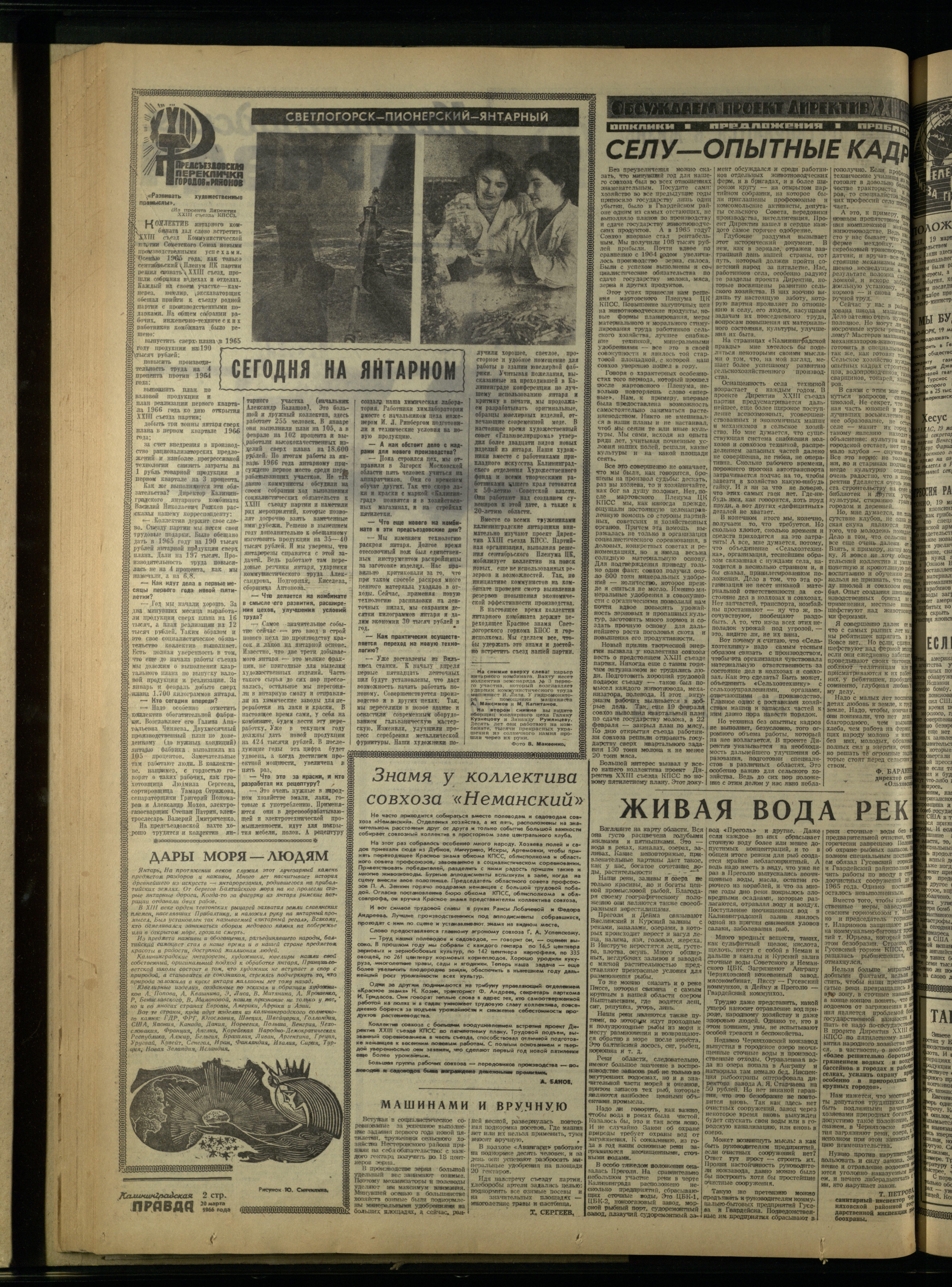 66-3-66-2