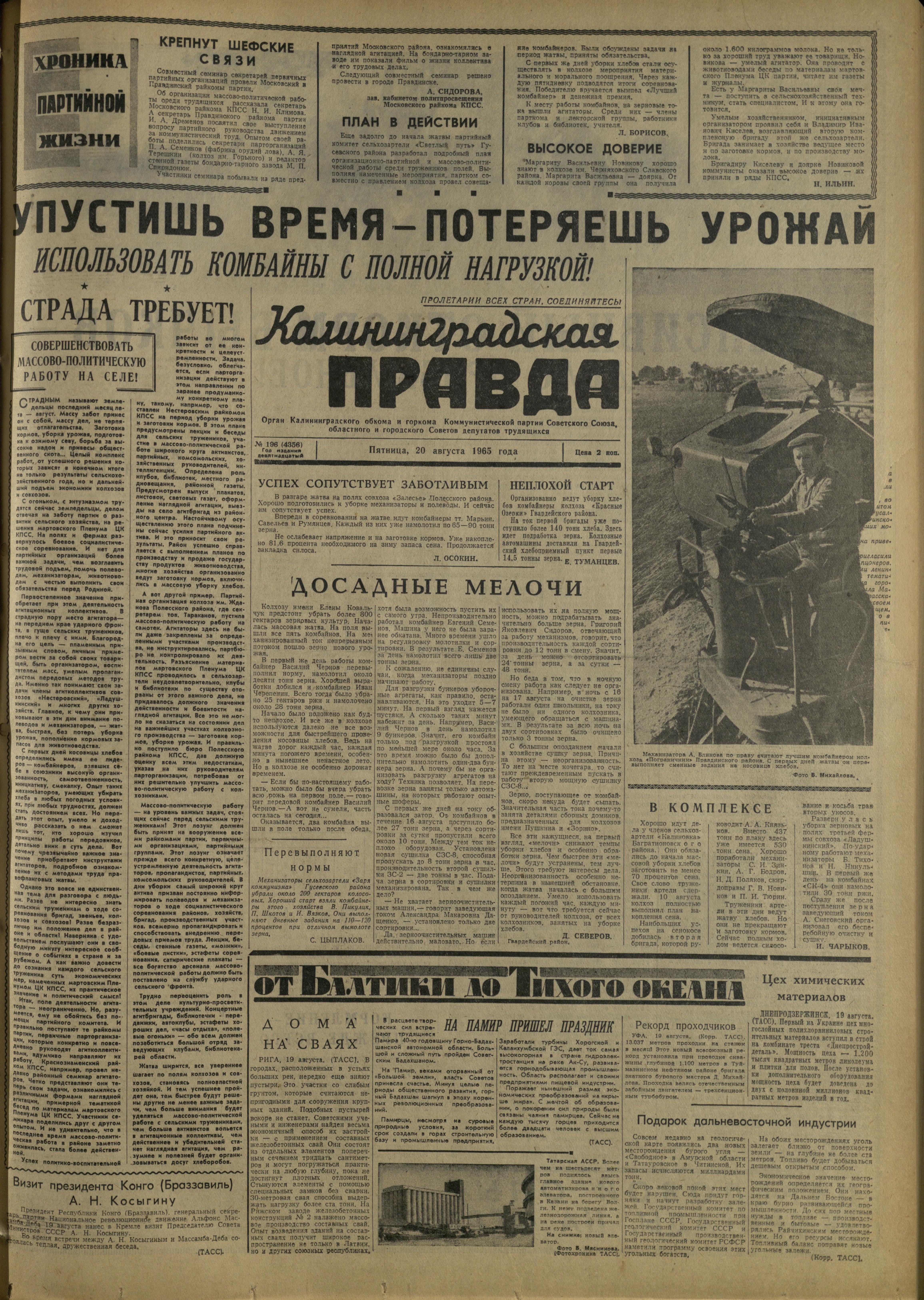 196-8-65-1
