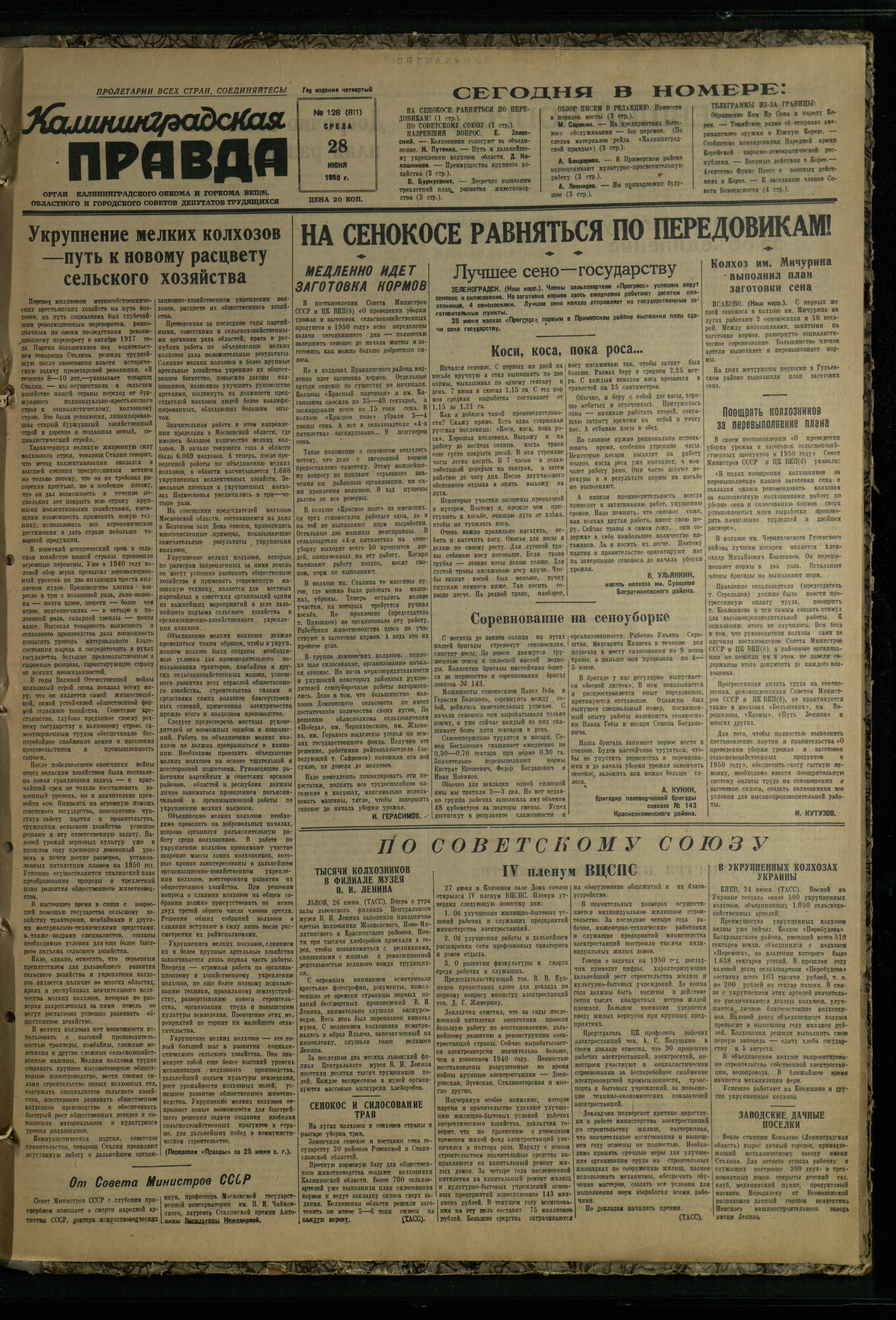 128-6-50-1