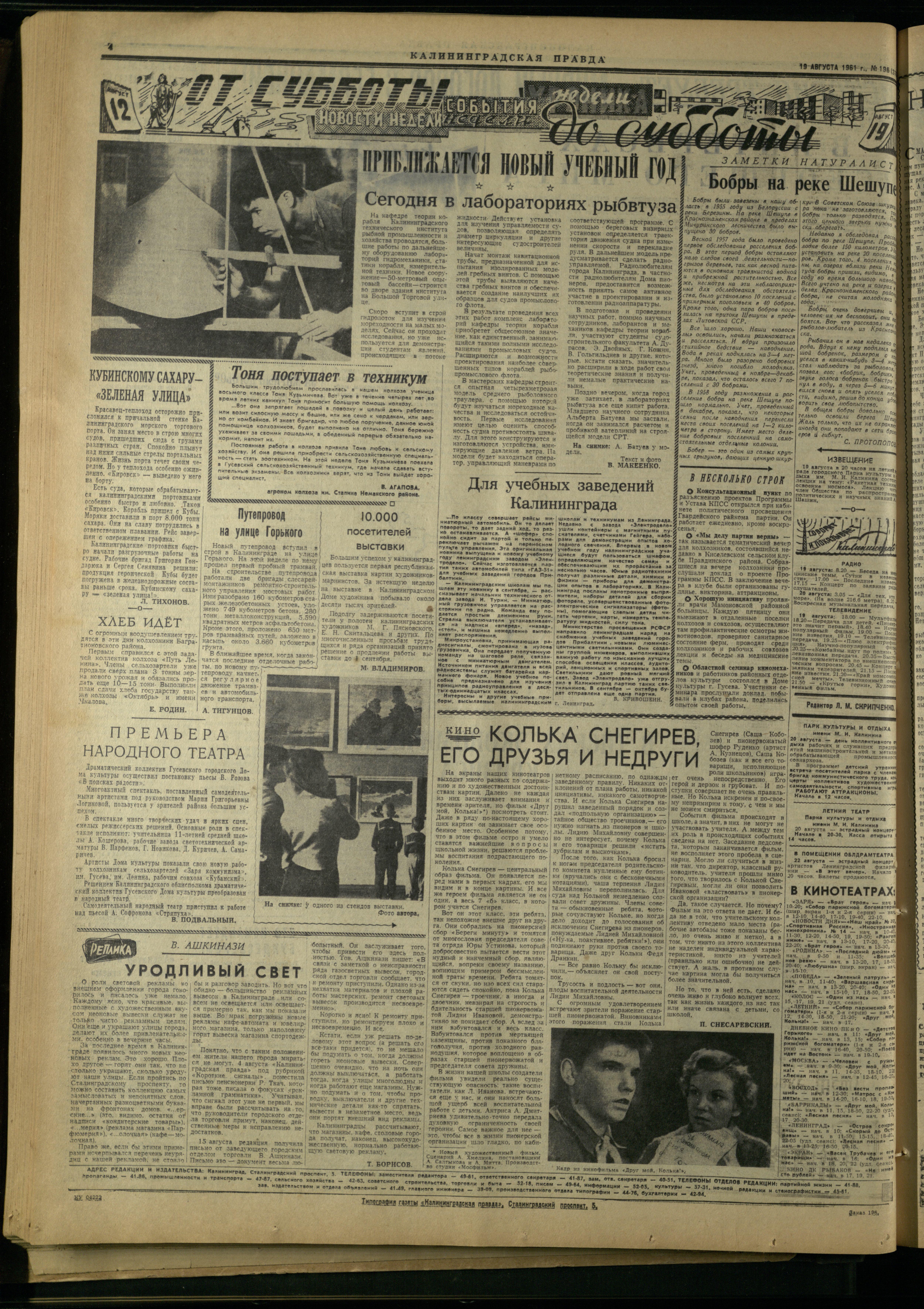 196-8-61-4