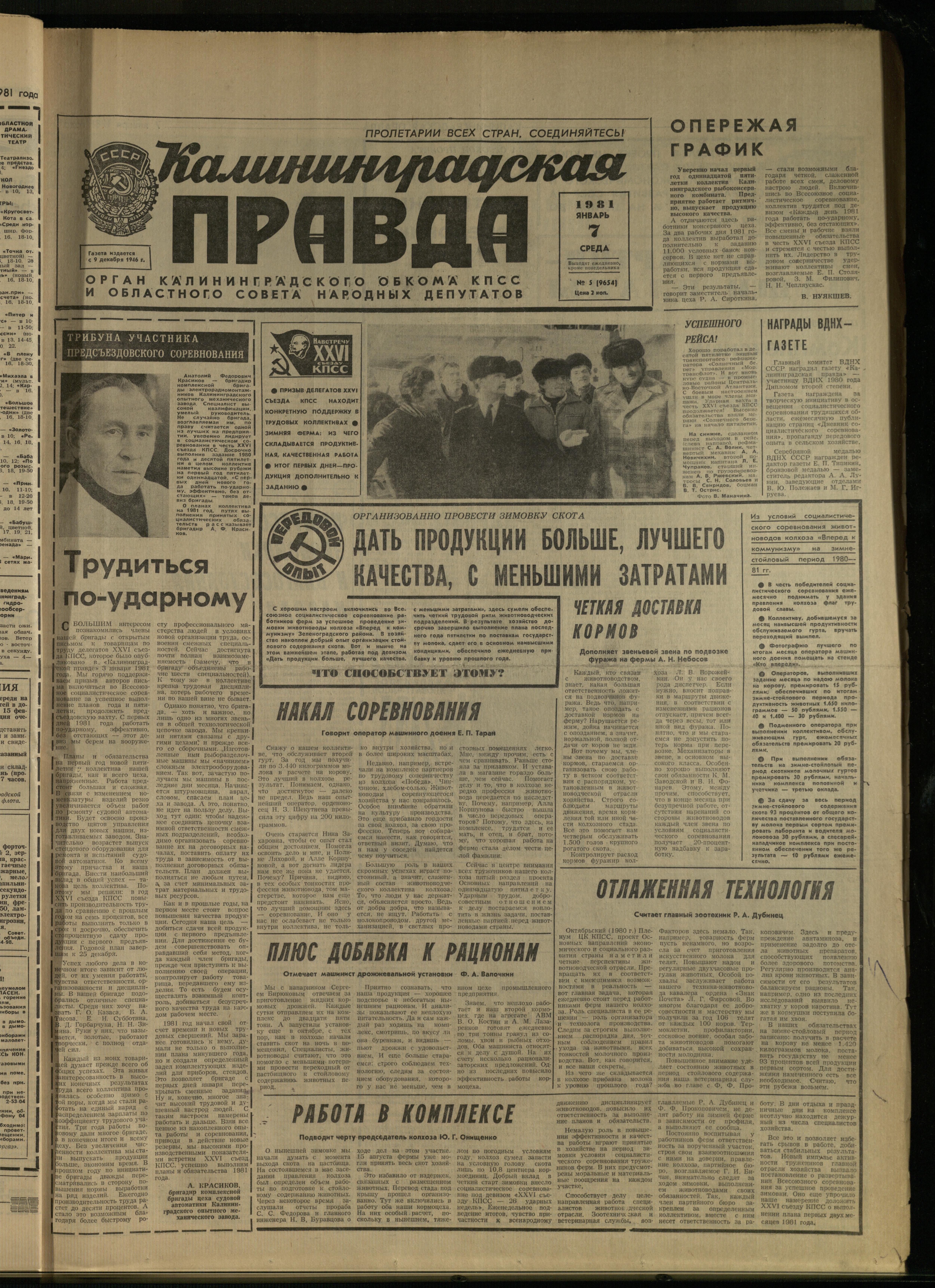 5-1-81-1