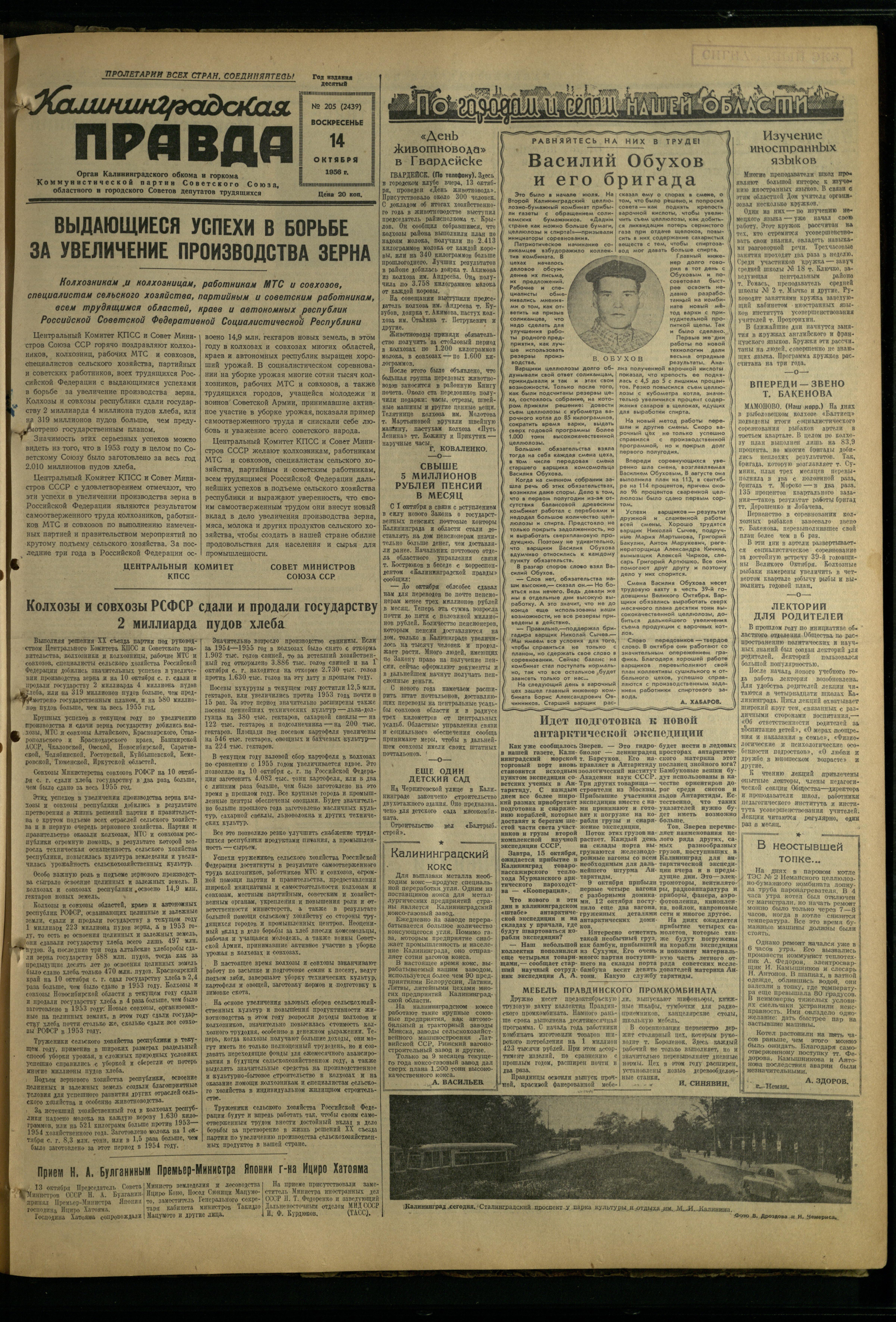 205-10-56-1