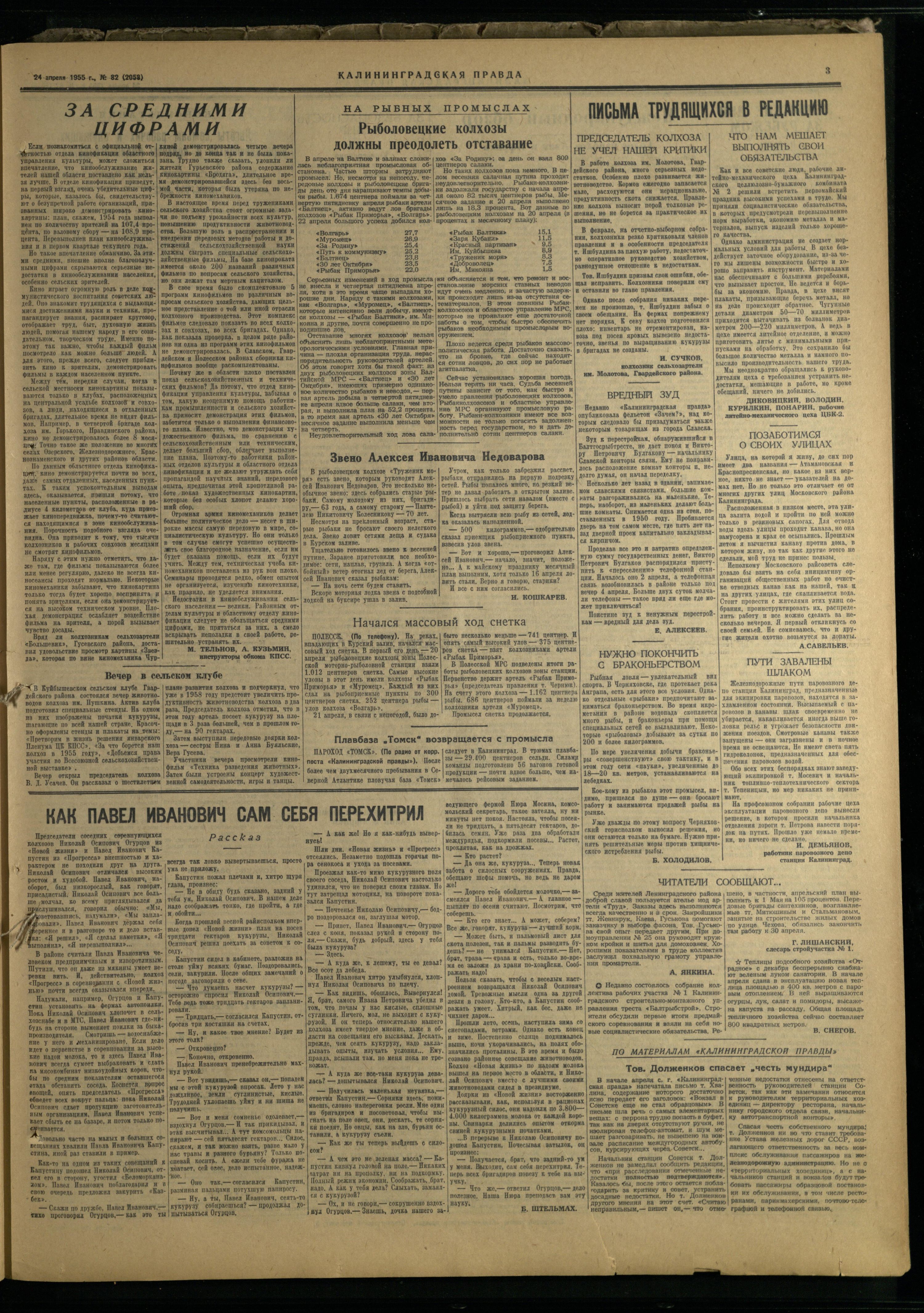 82-4-55-3