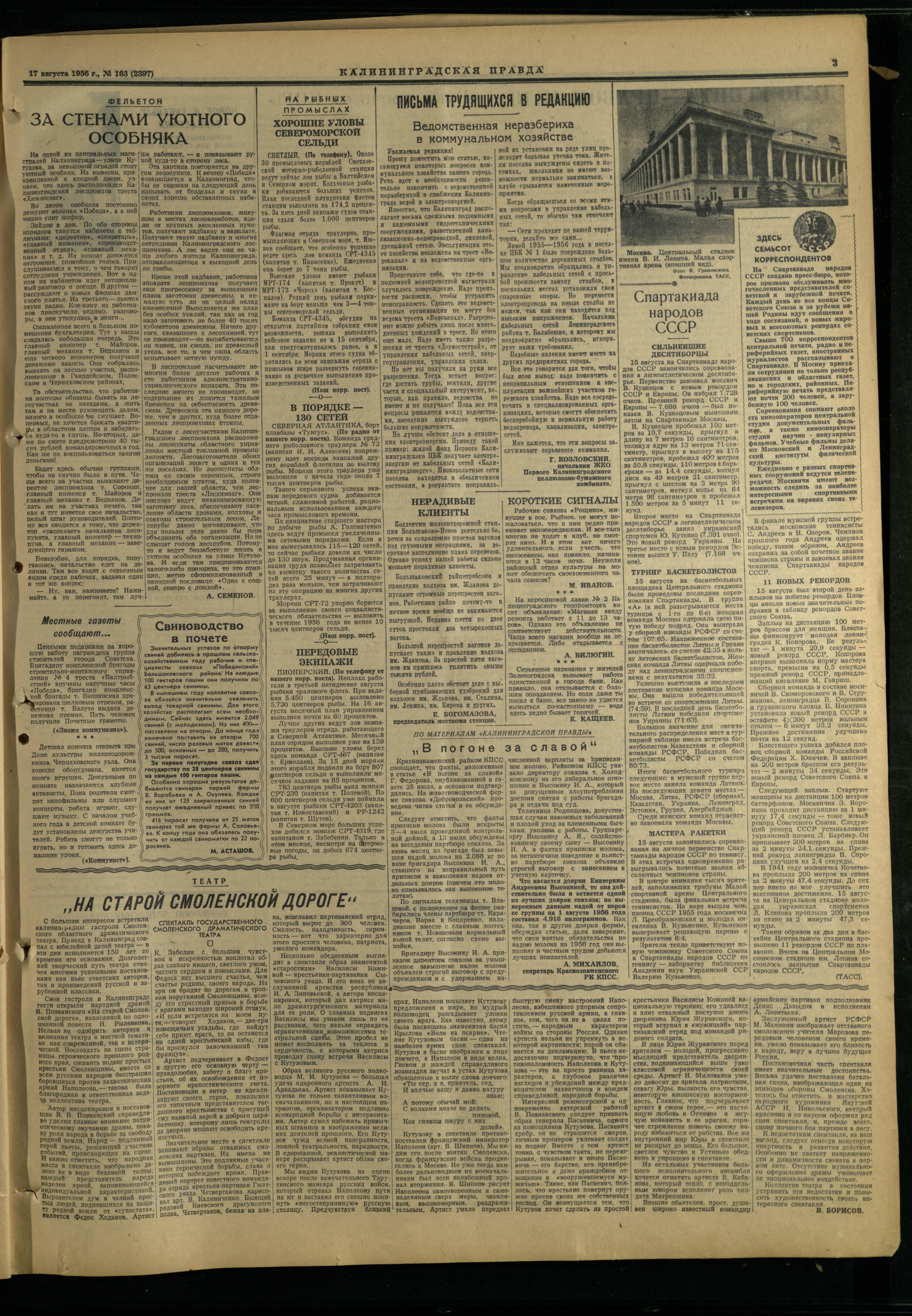 163-8-56-3