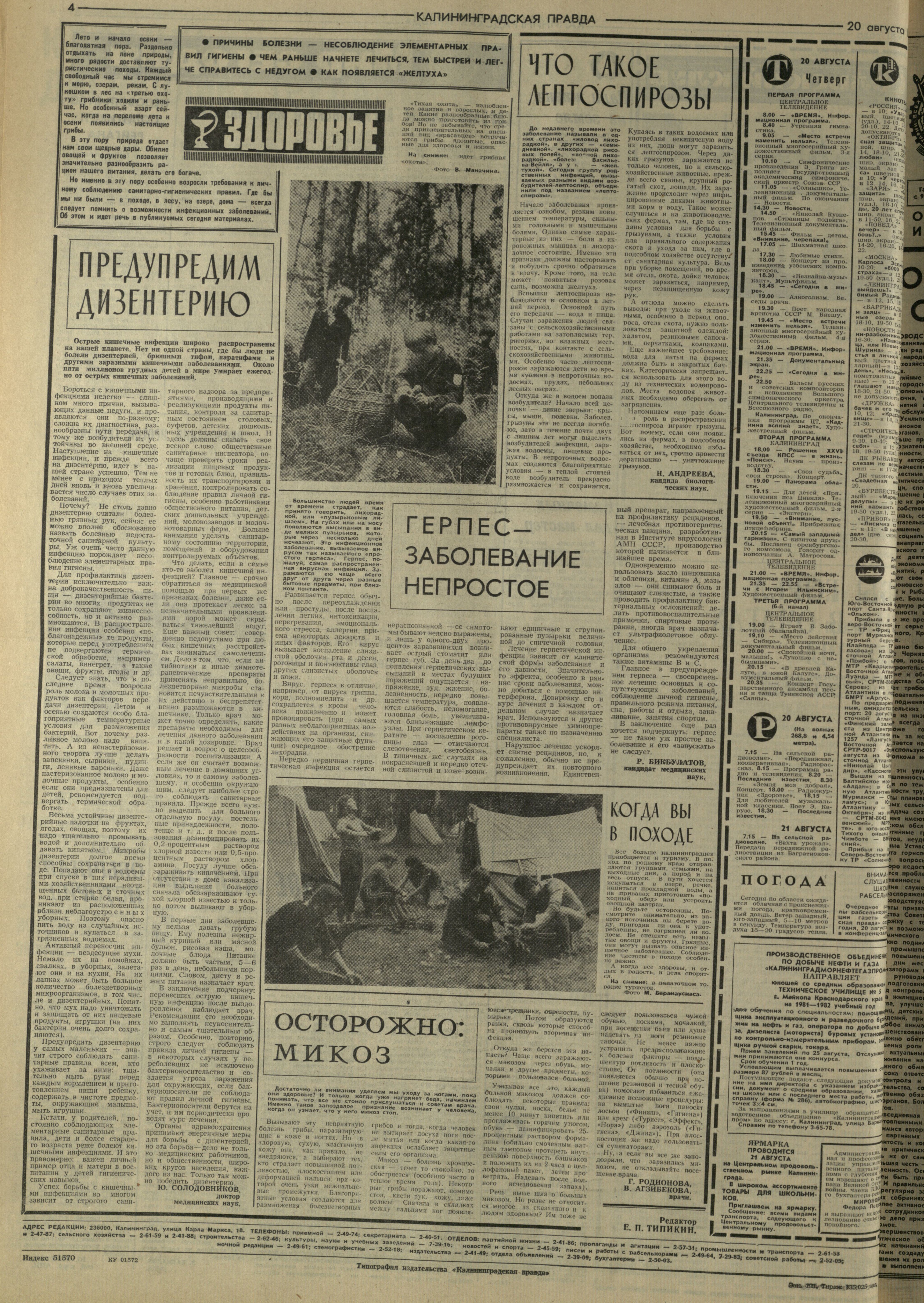 191-8-81-4