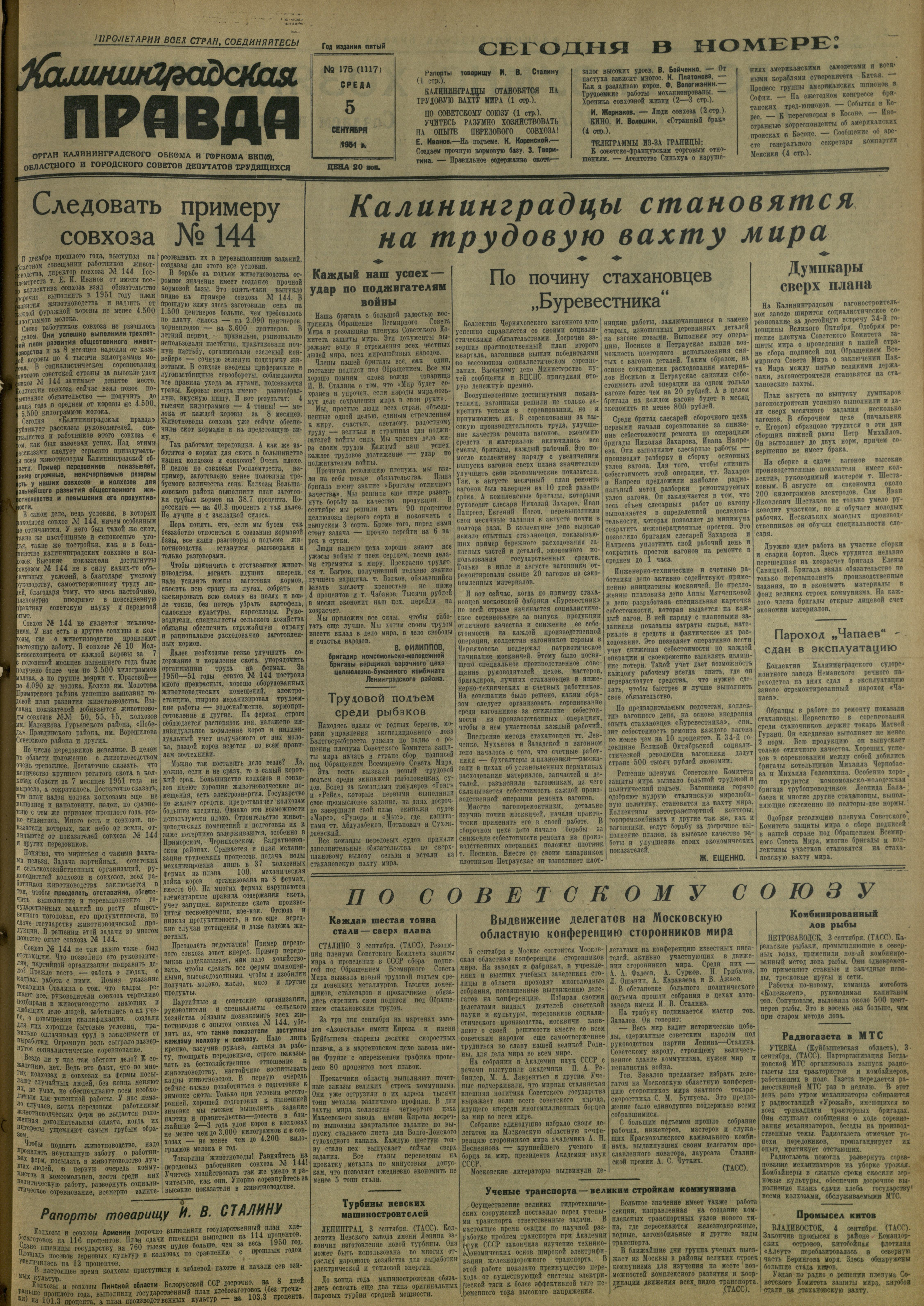 175-9-51-1