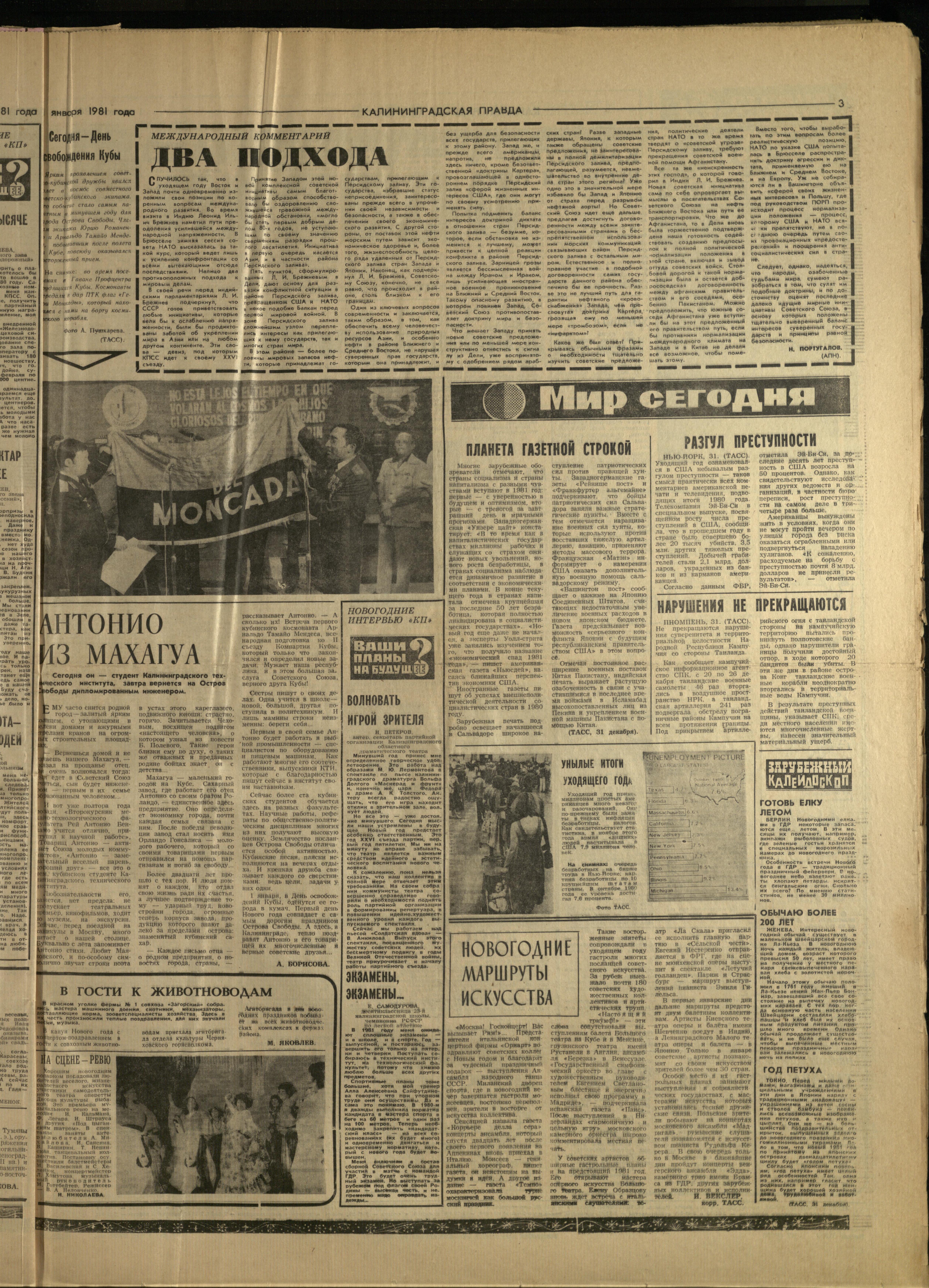 1-1-81-3