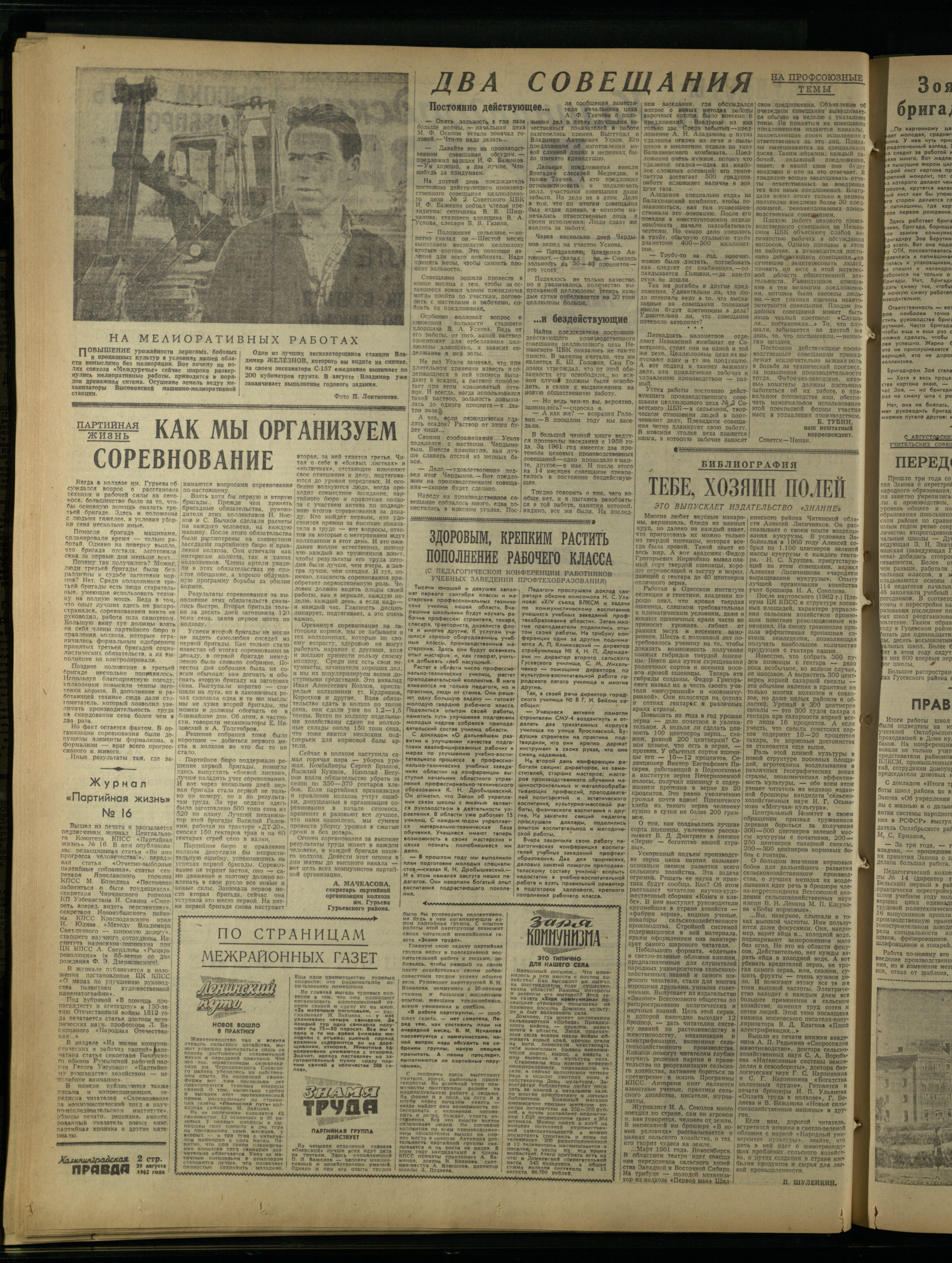 203-8-62-2