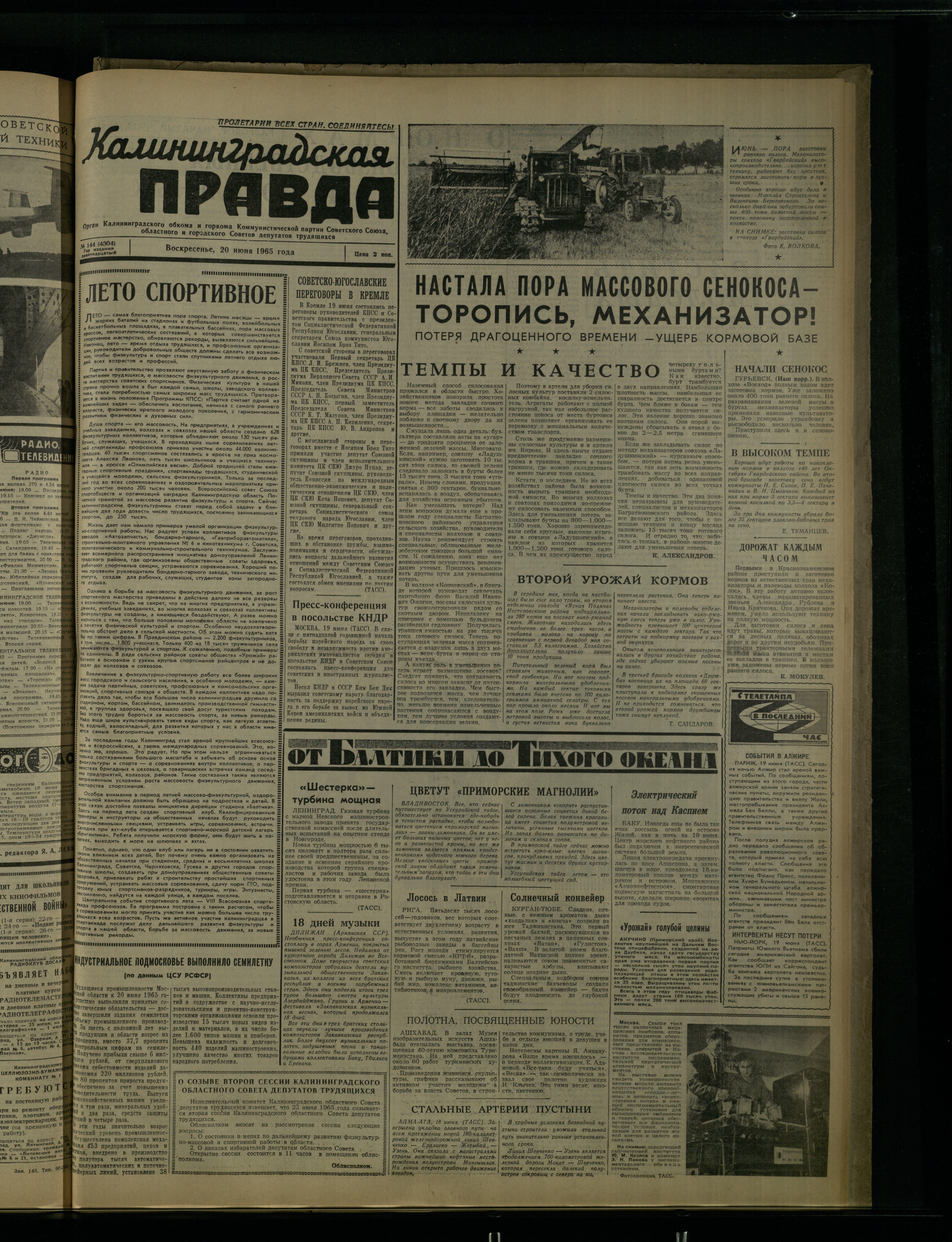 144-6-65-1