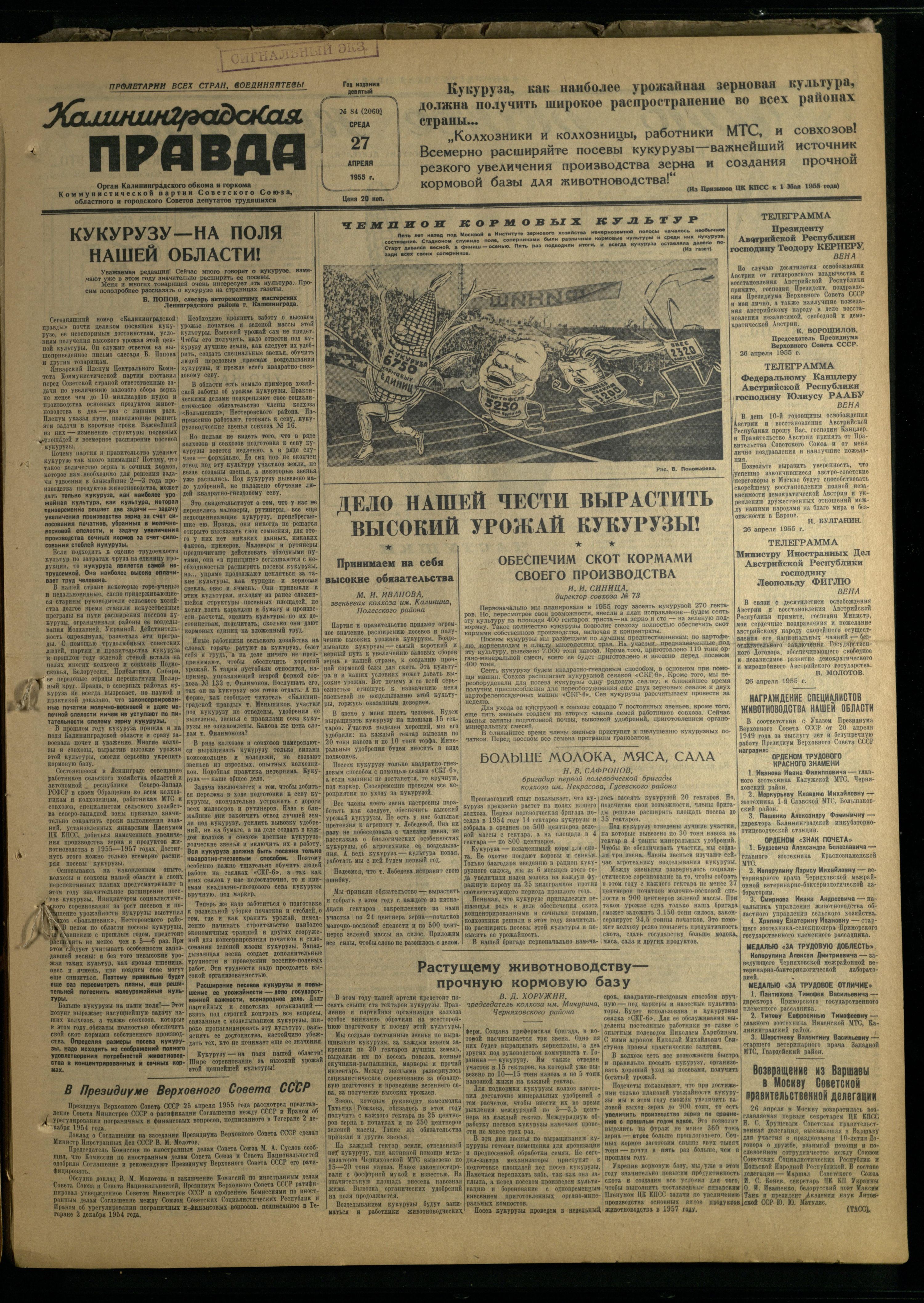 84-4-55-1