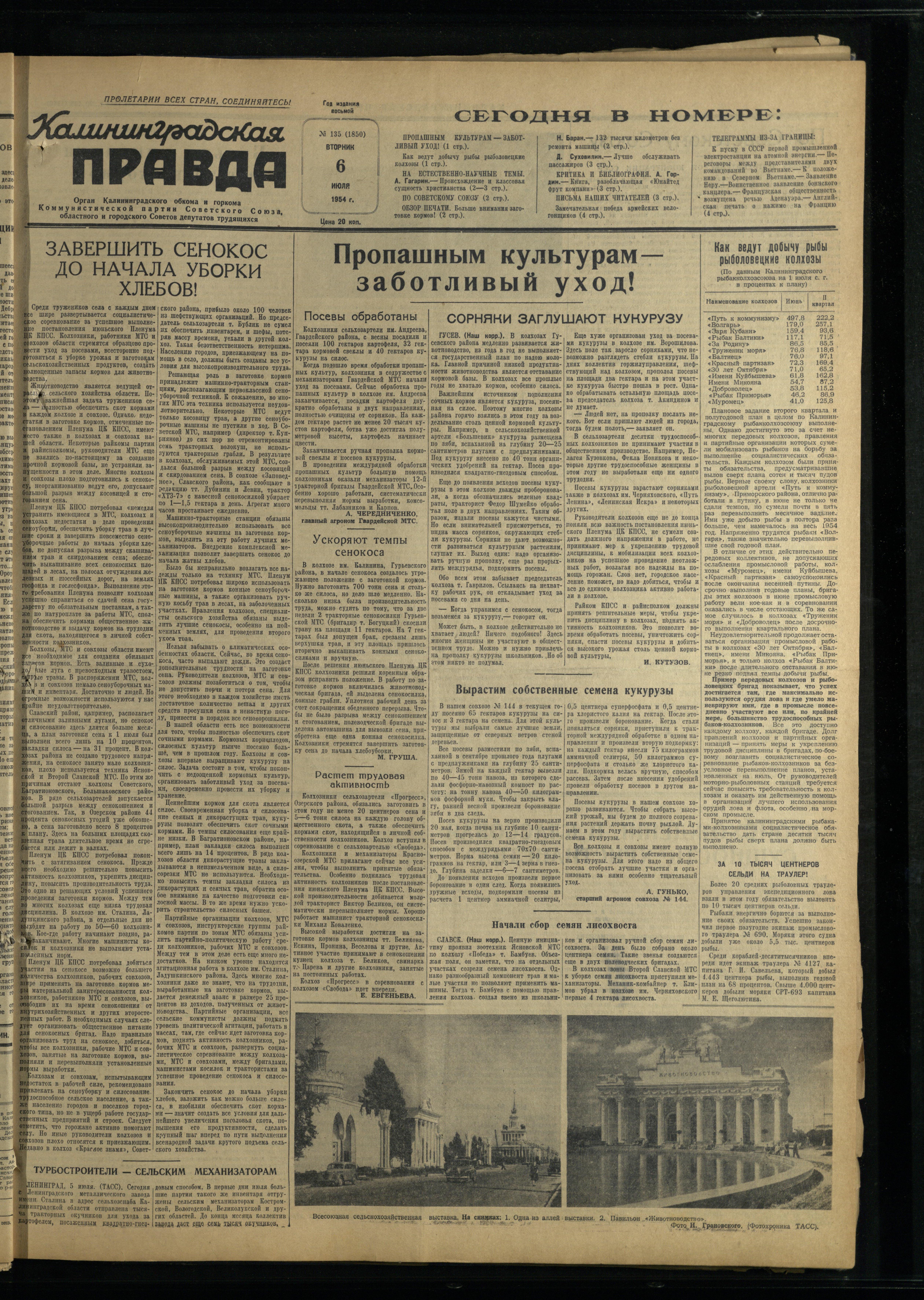 135-7-54-1
