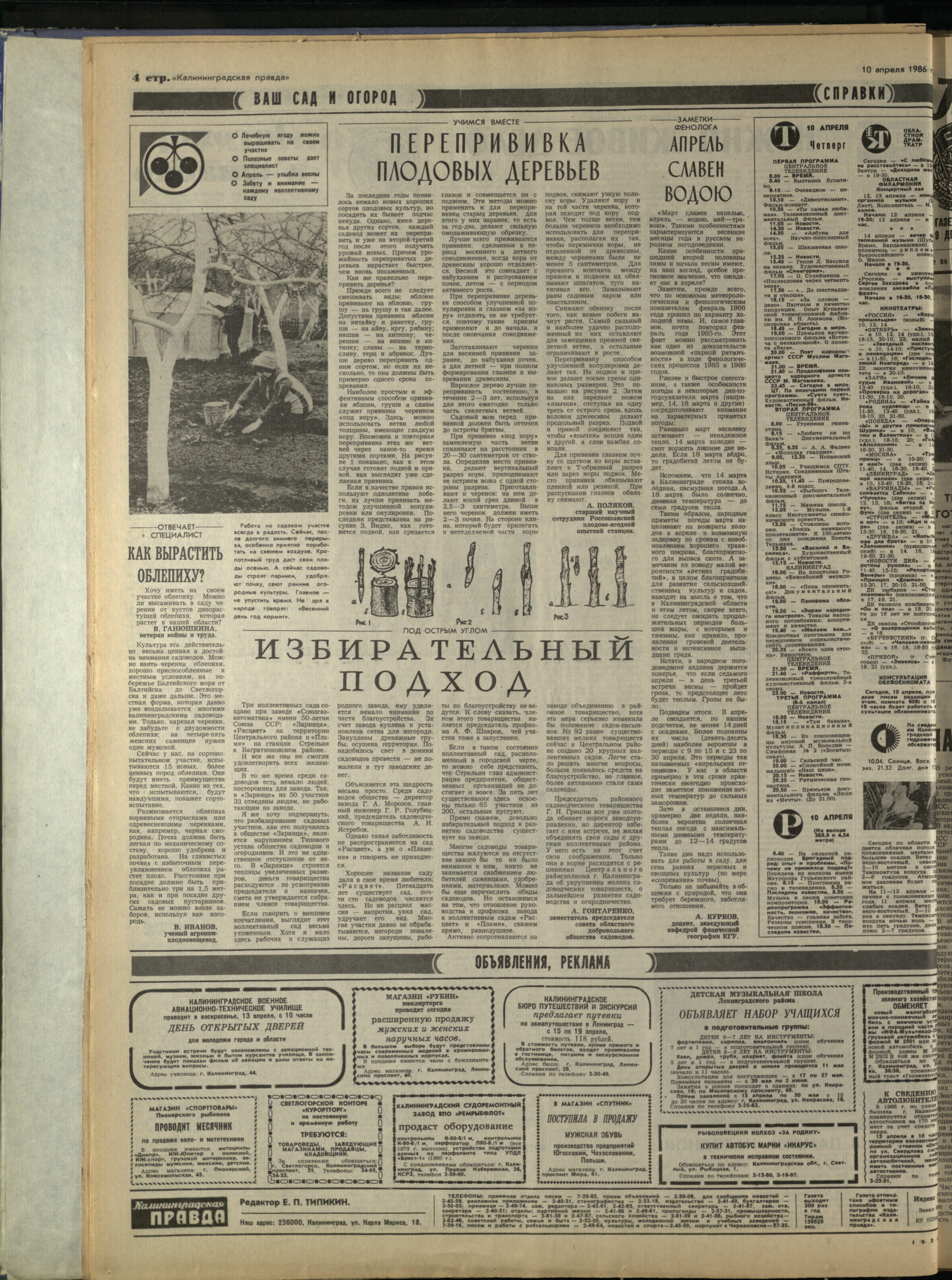 85-4-86-4