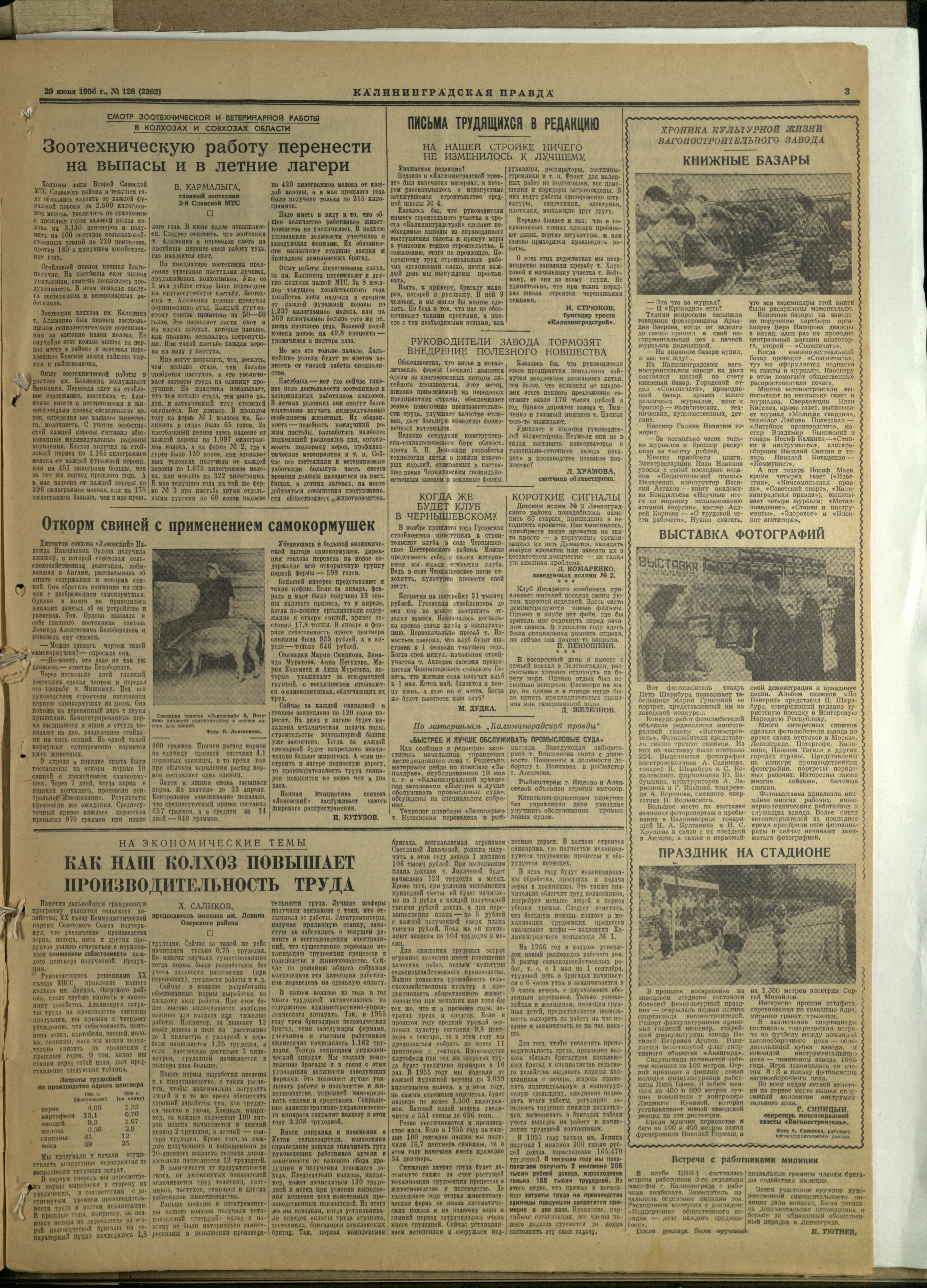 128-6-56-3