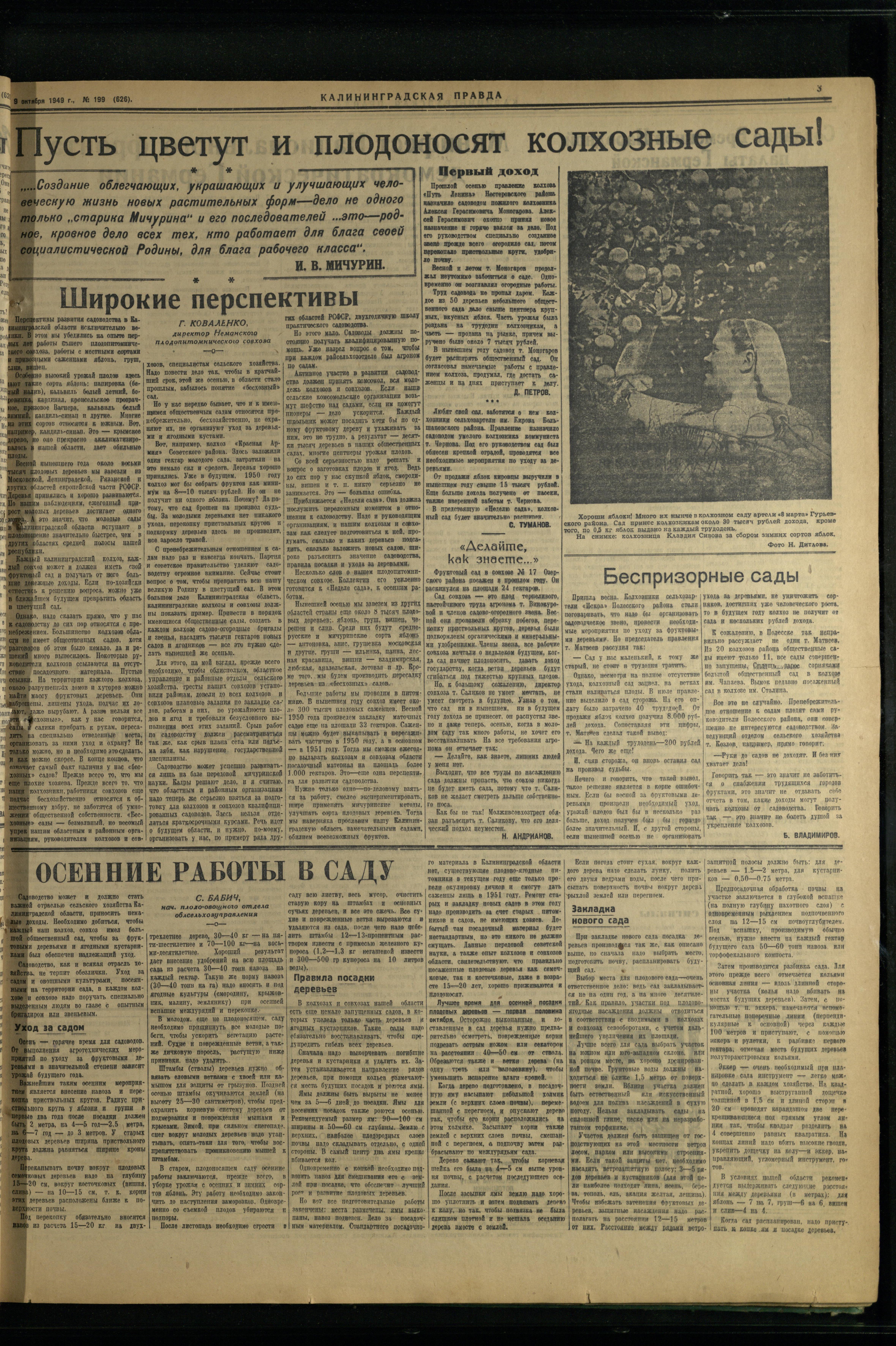 199-10-49-3