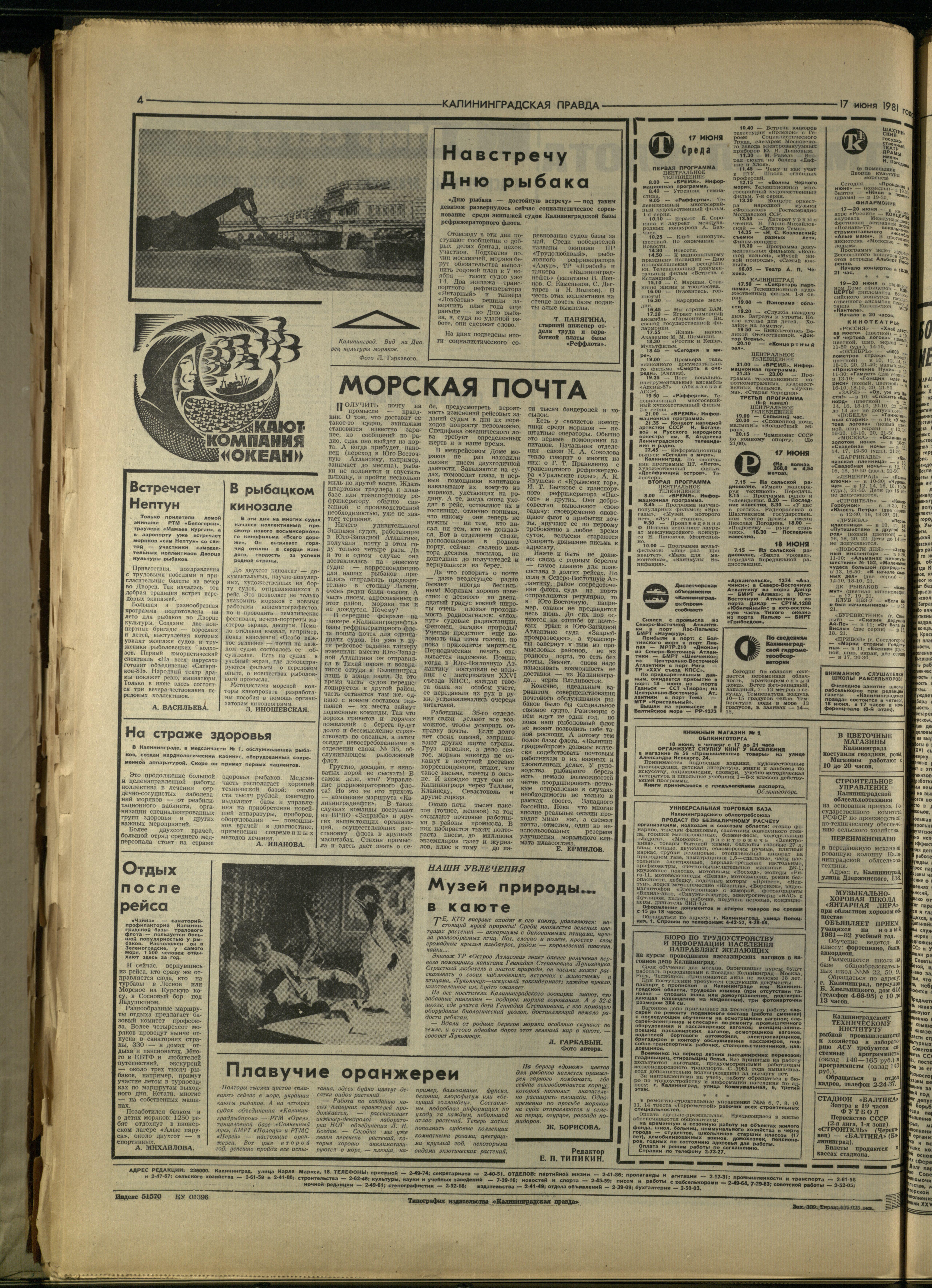 139-6-81-4