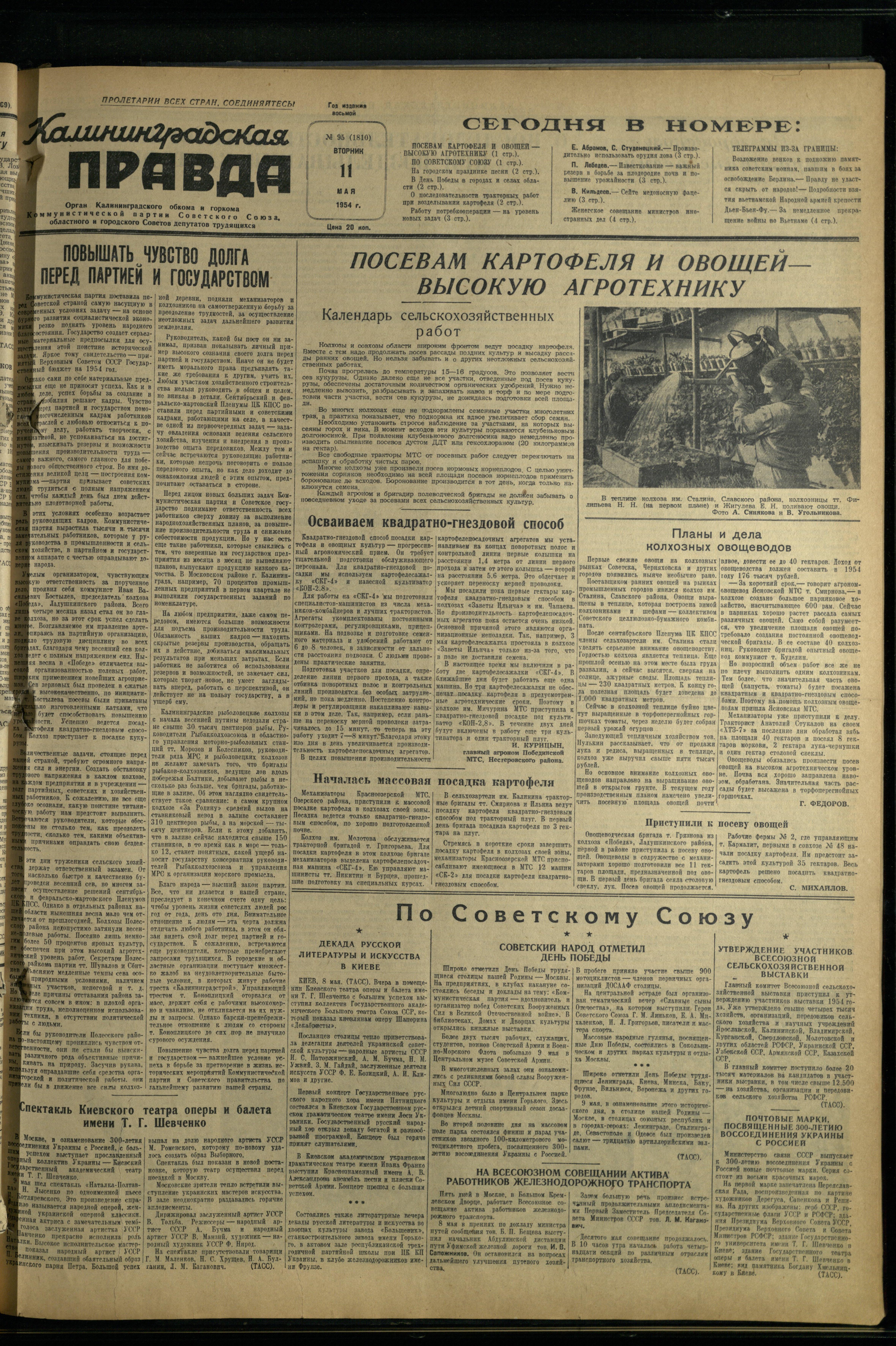 95-5-54-1