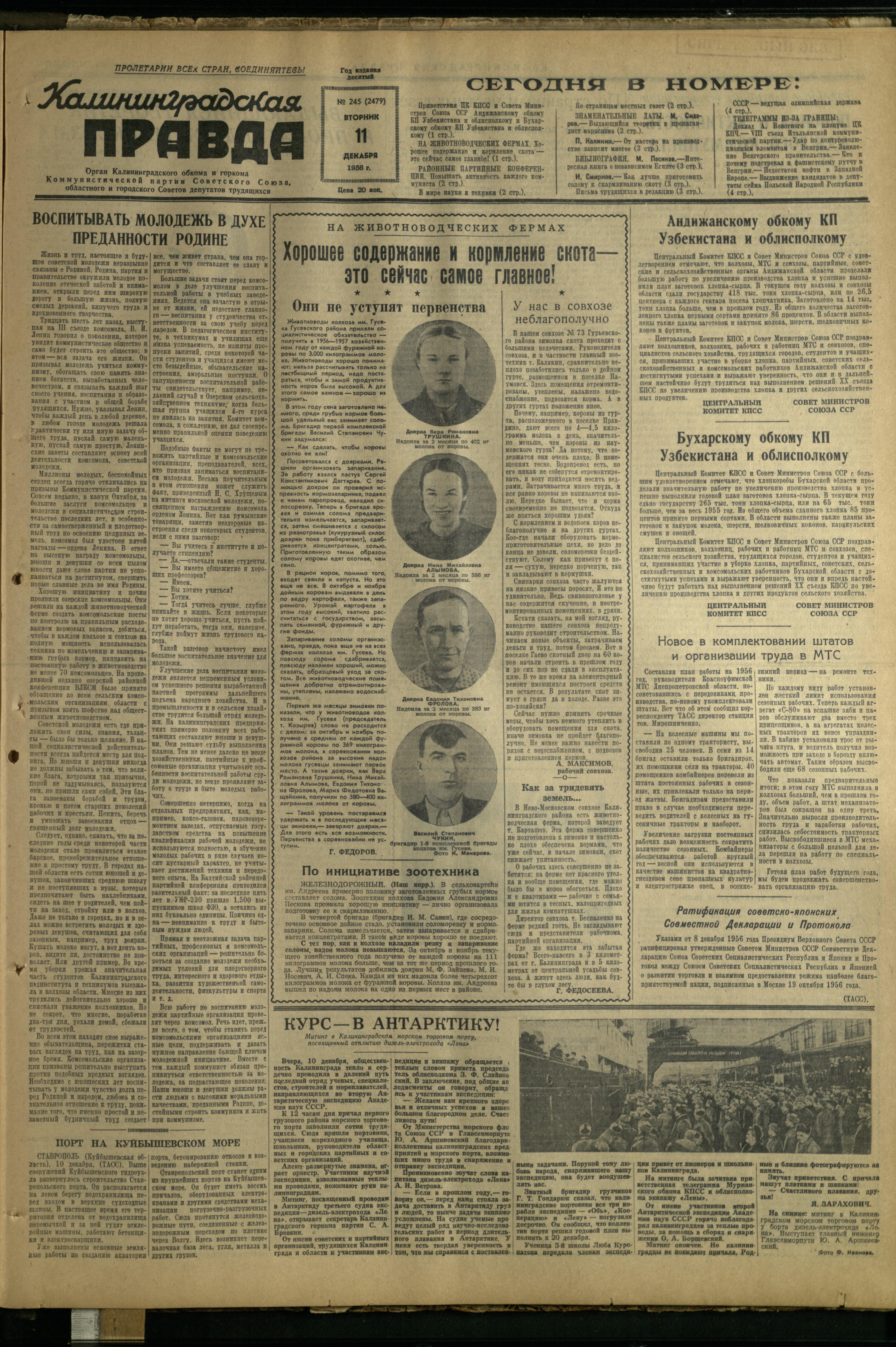 245-12-56-1
