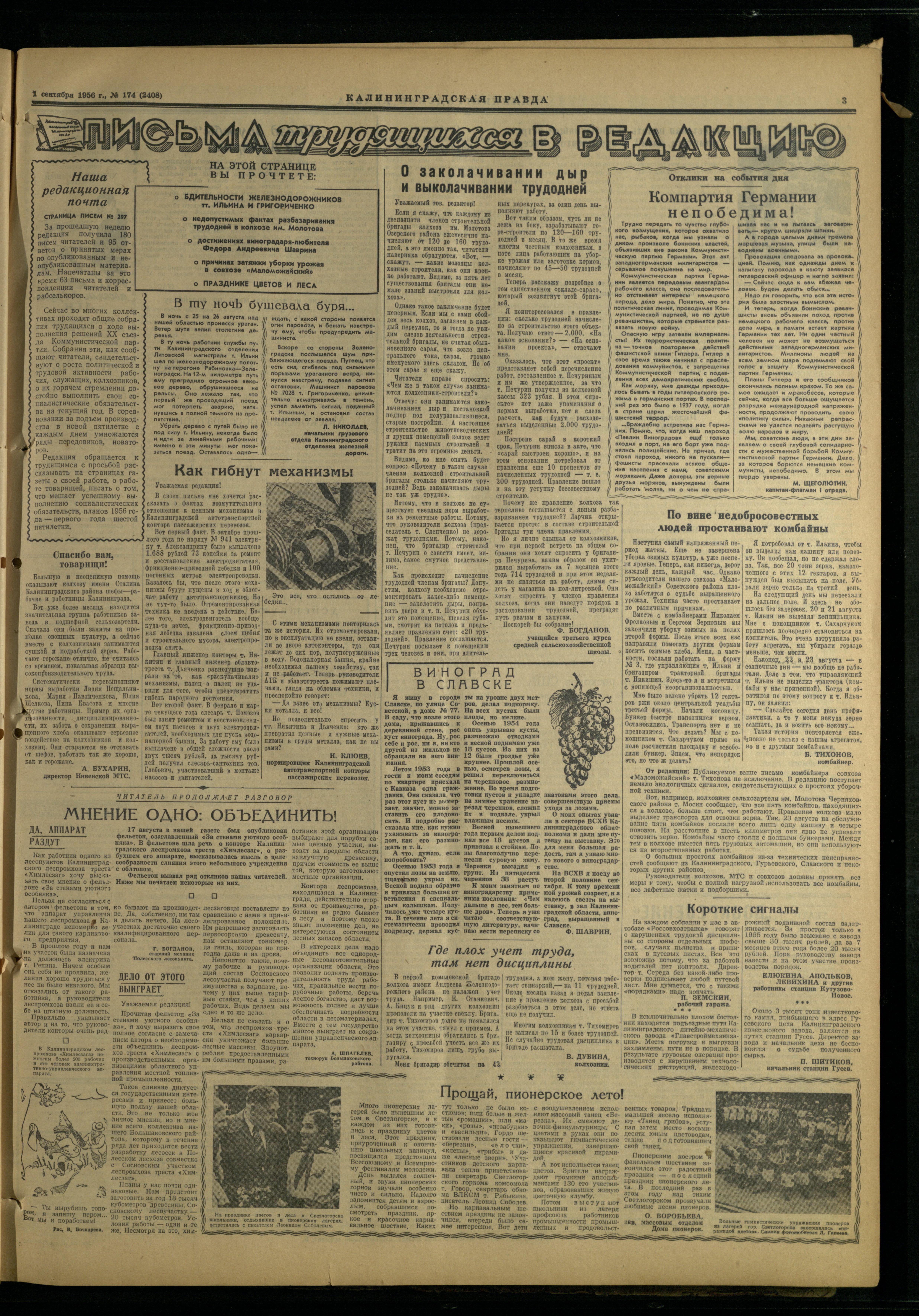 174-9-56-3