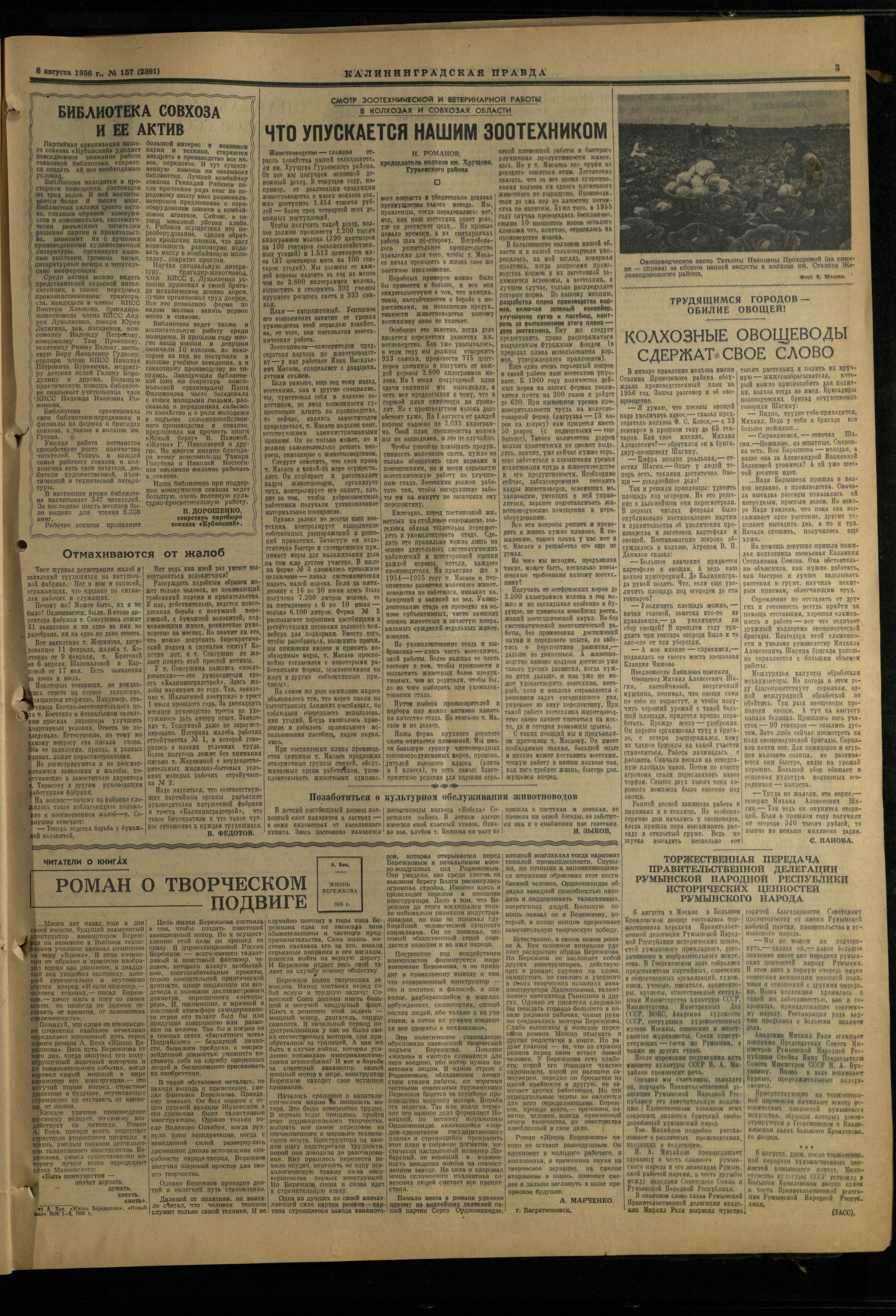 157-8-56-3