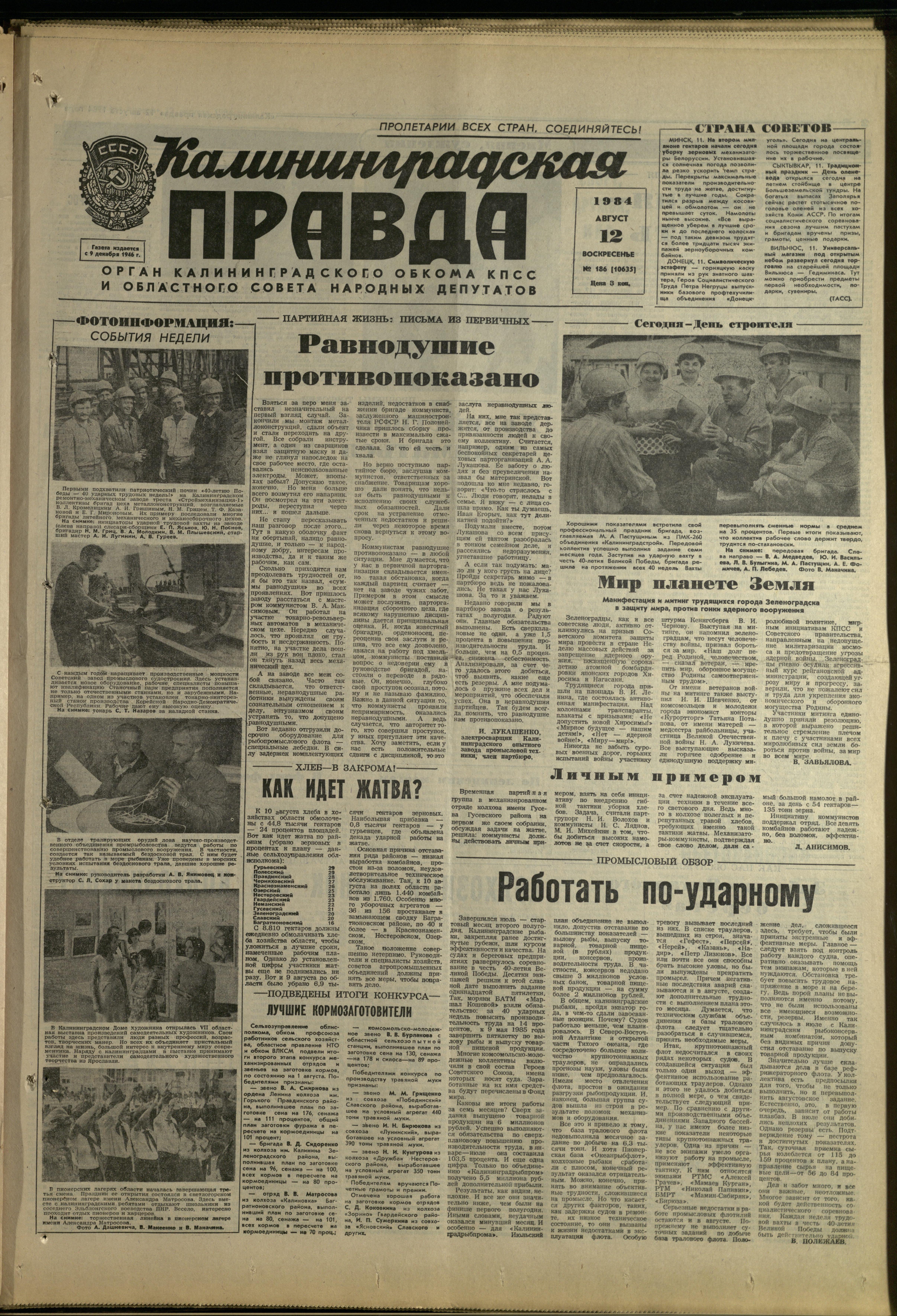 186-8-84-1