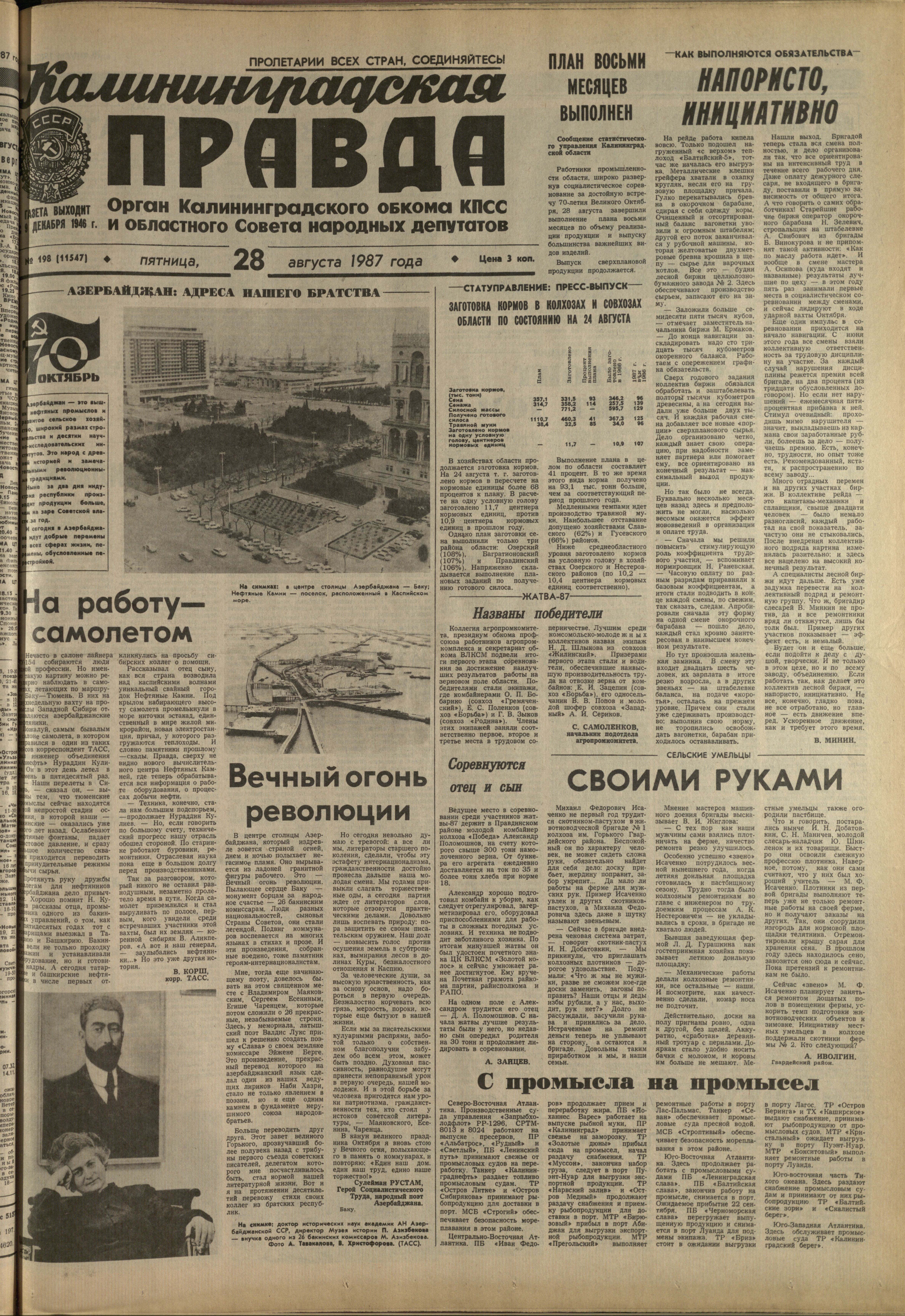 198-8-87-1