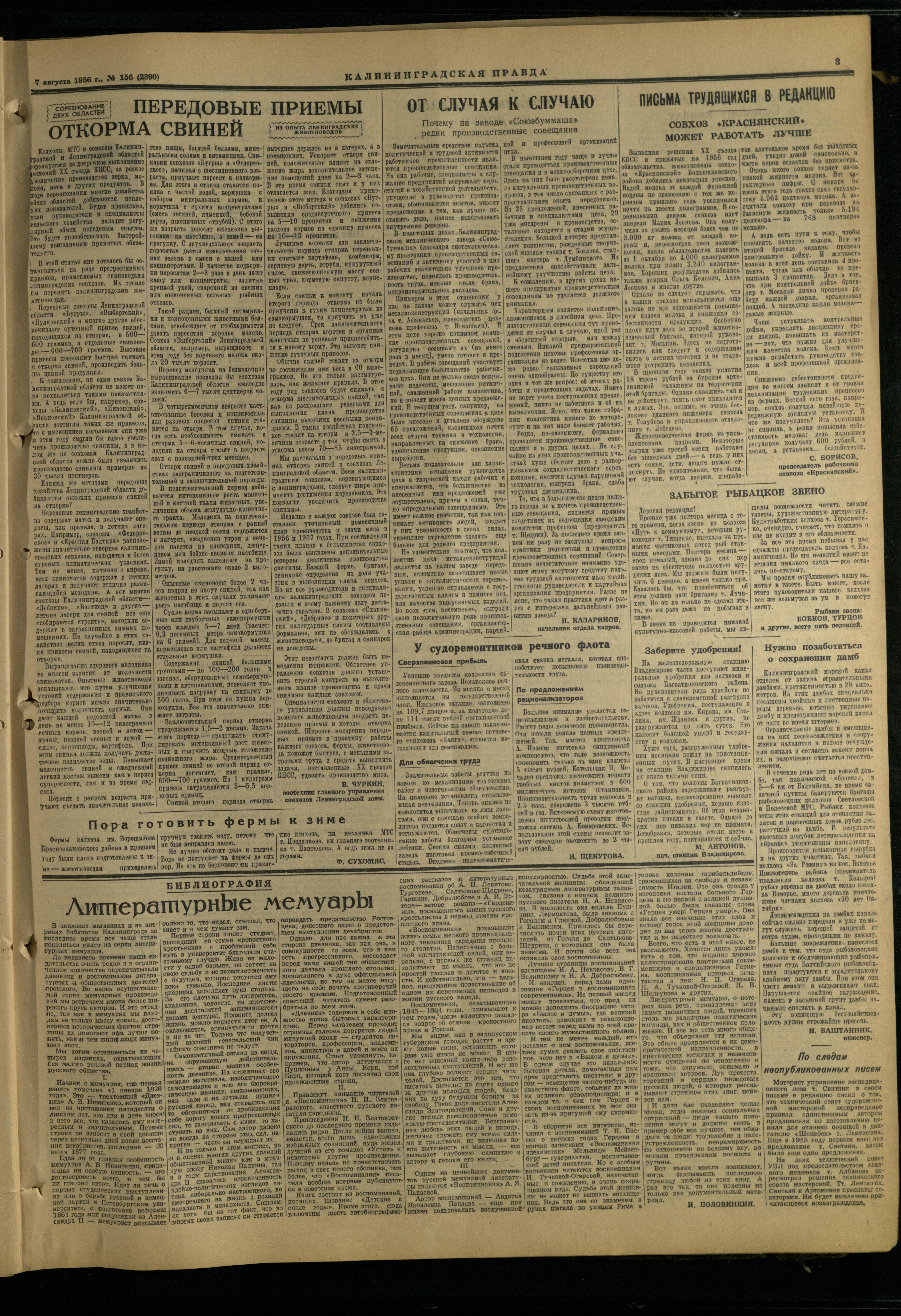156-8-56-3