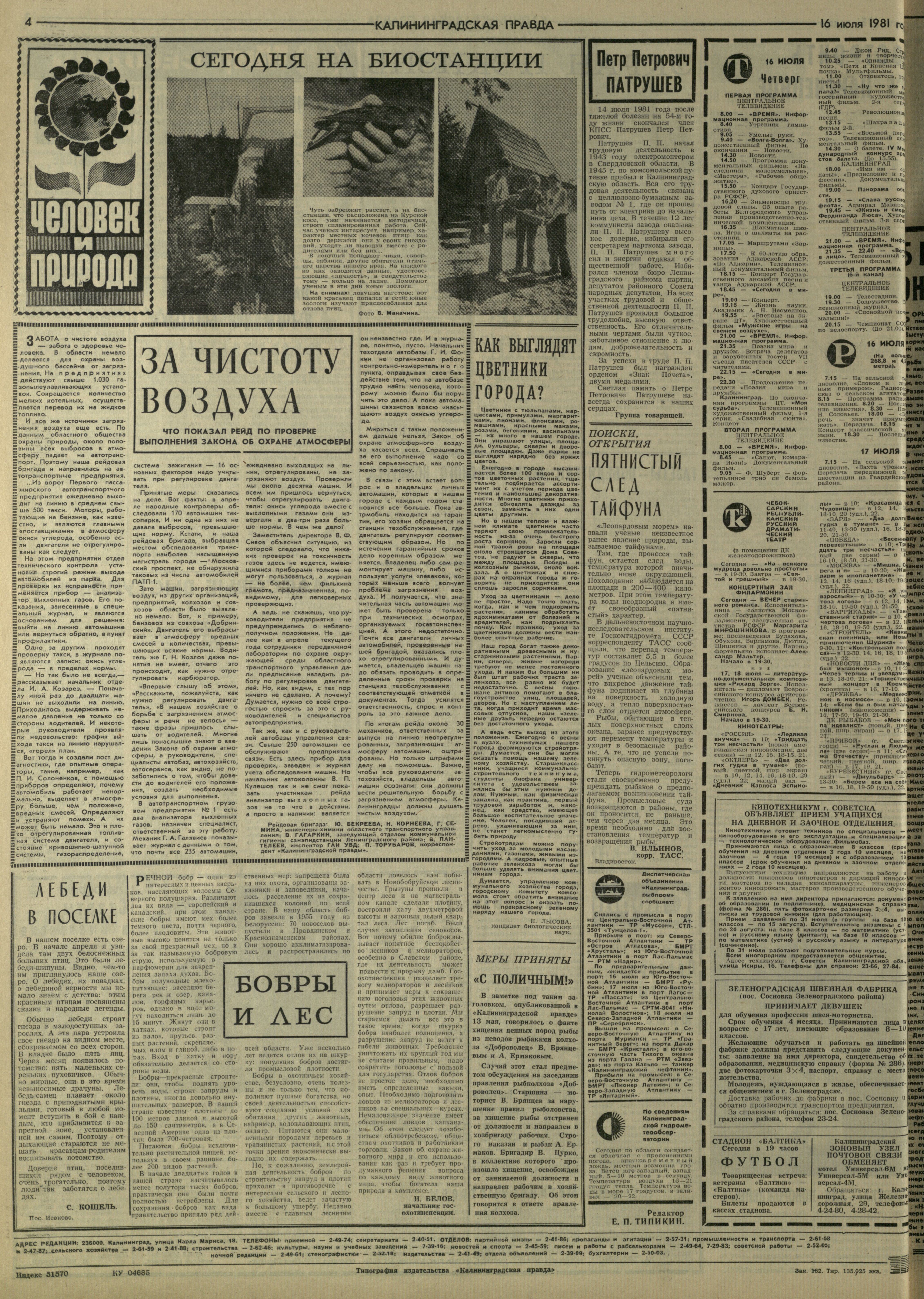 162-7-81-4