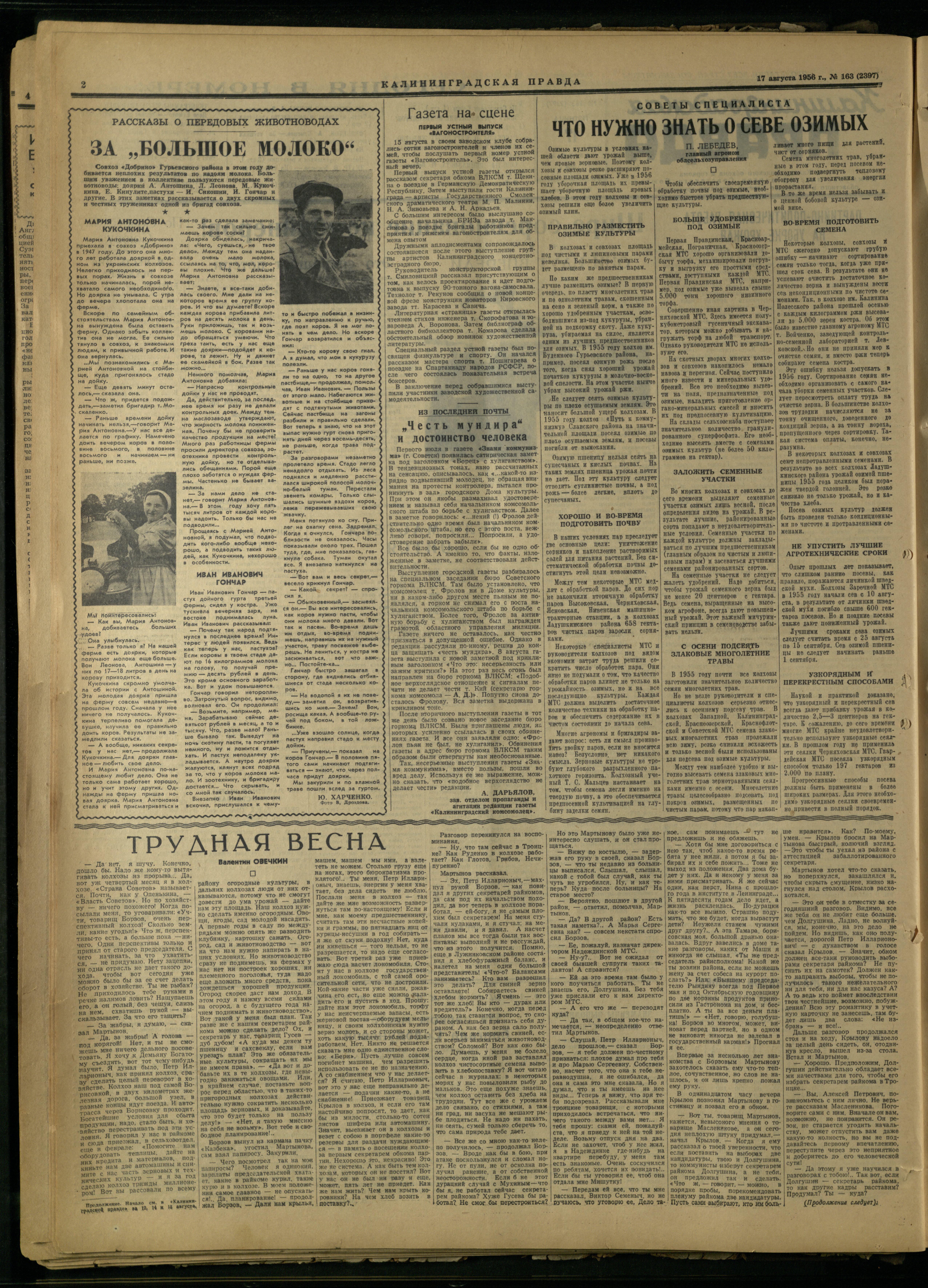 163-8-56-2