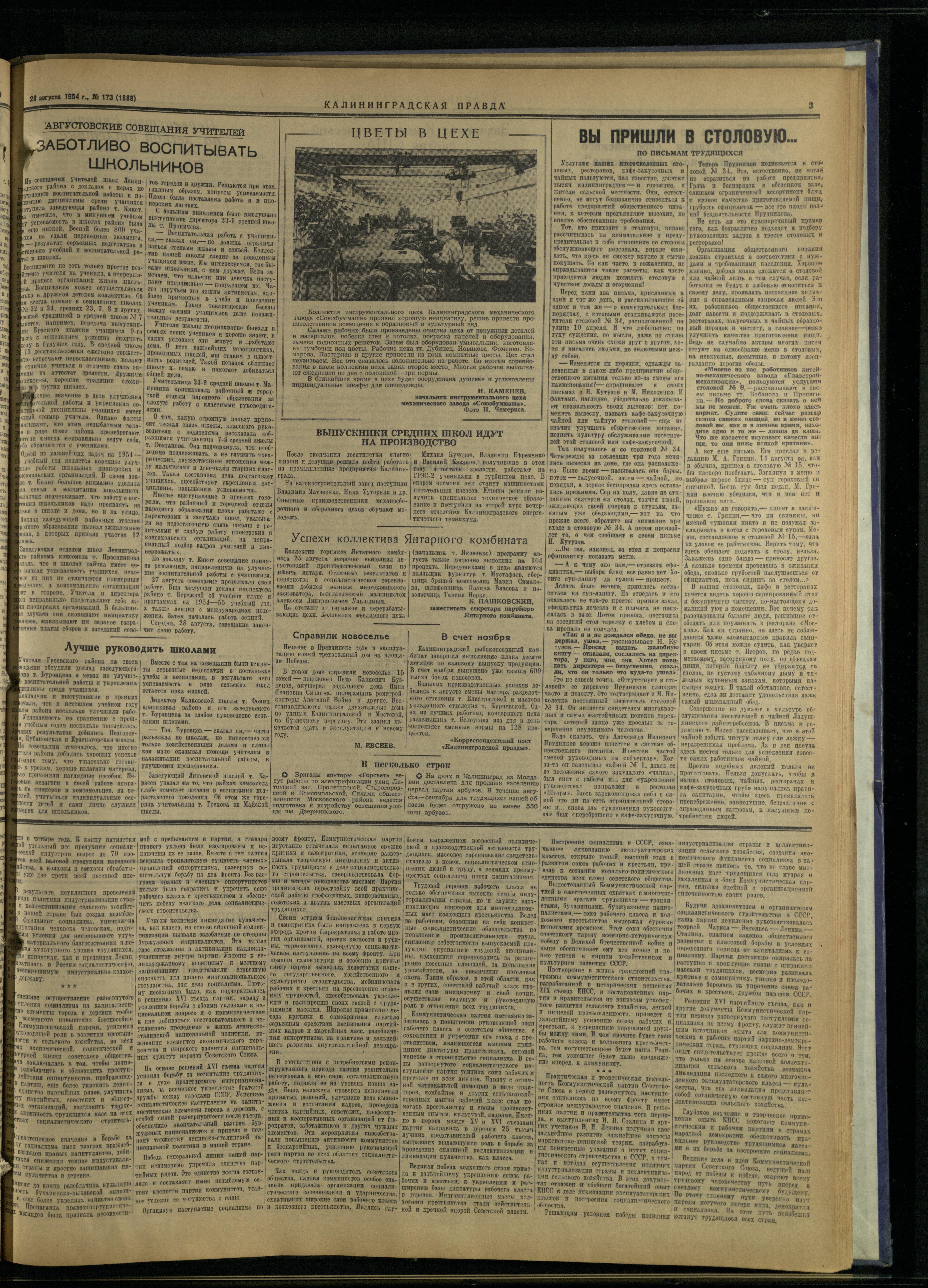 173-8-54-3