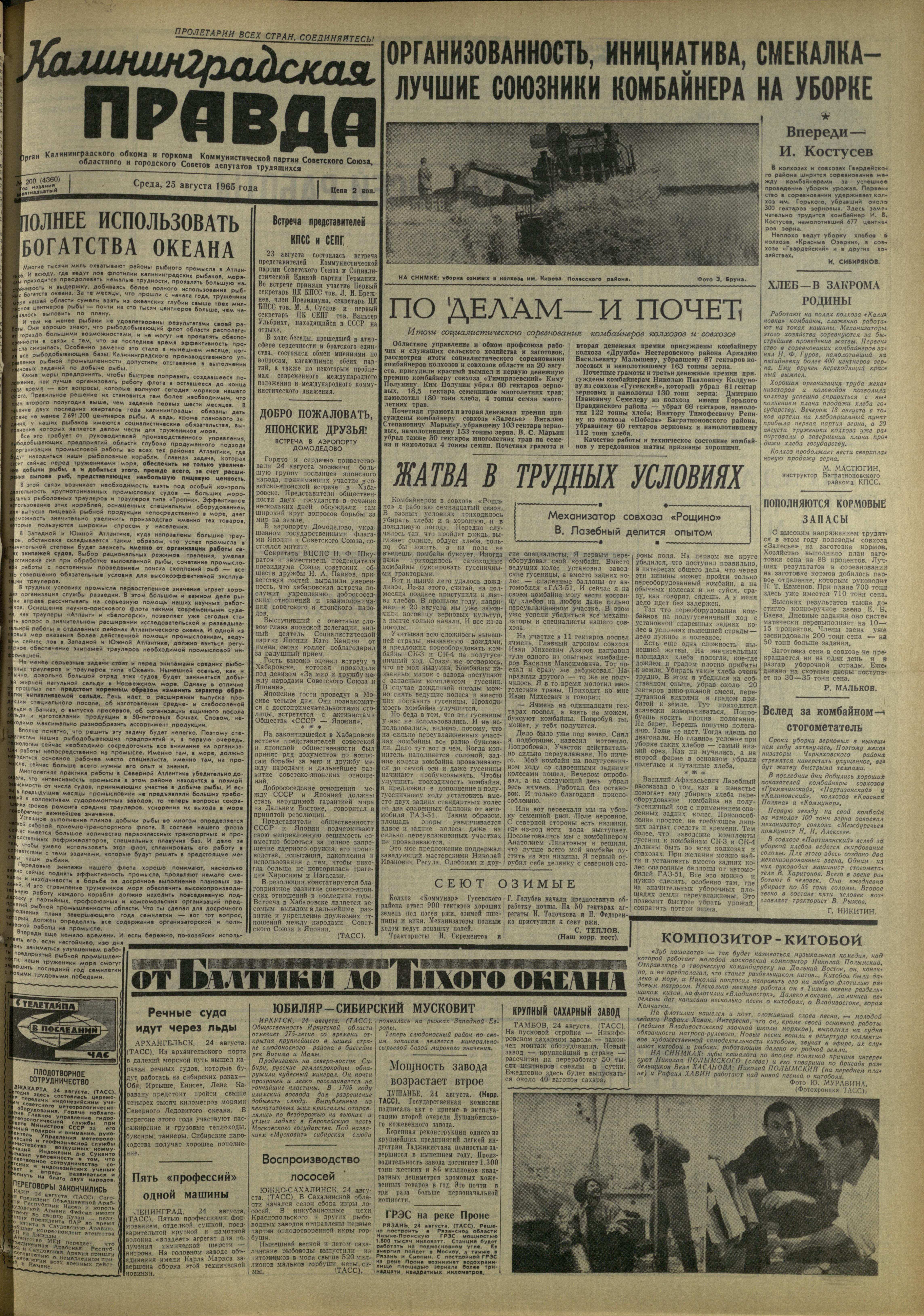 200-8-65-1