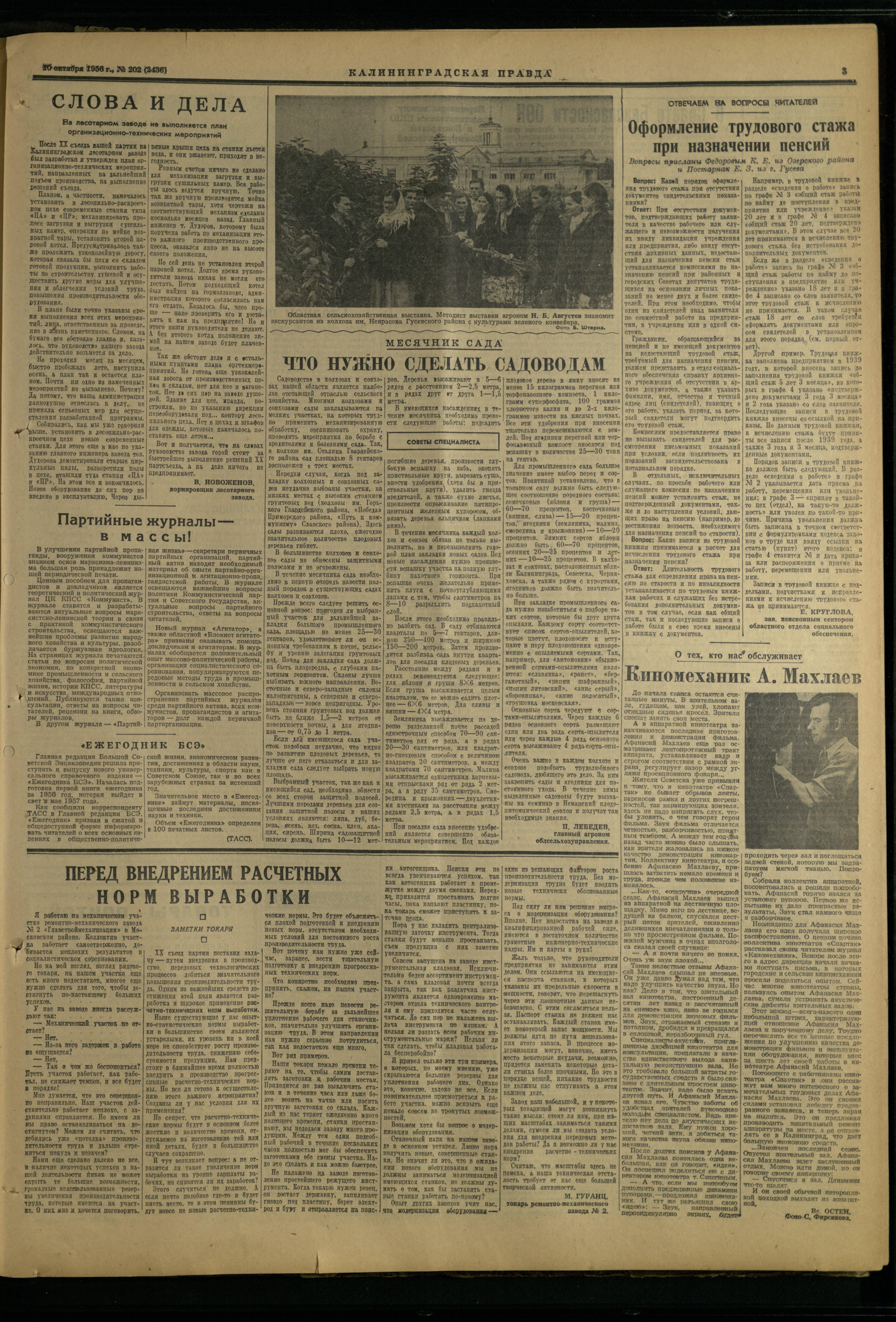 202-10-56-3
