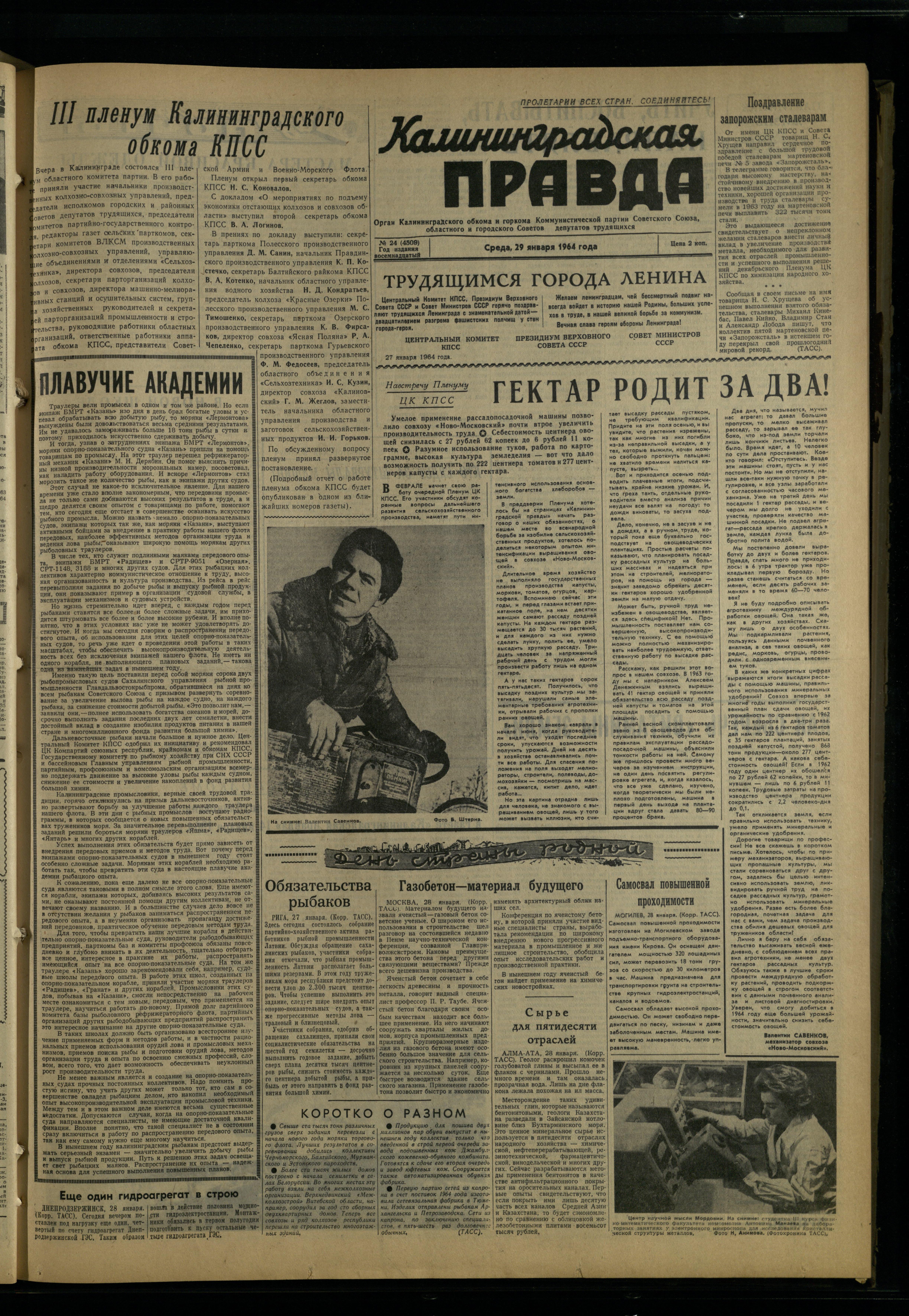 24-1-64-1