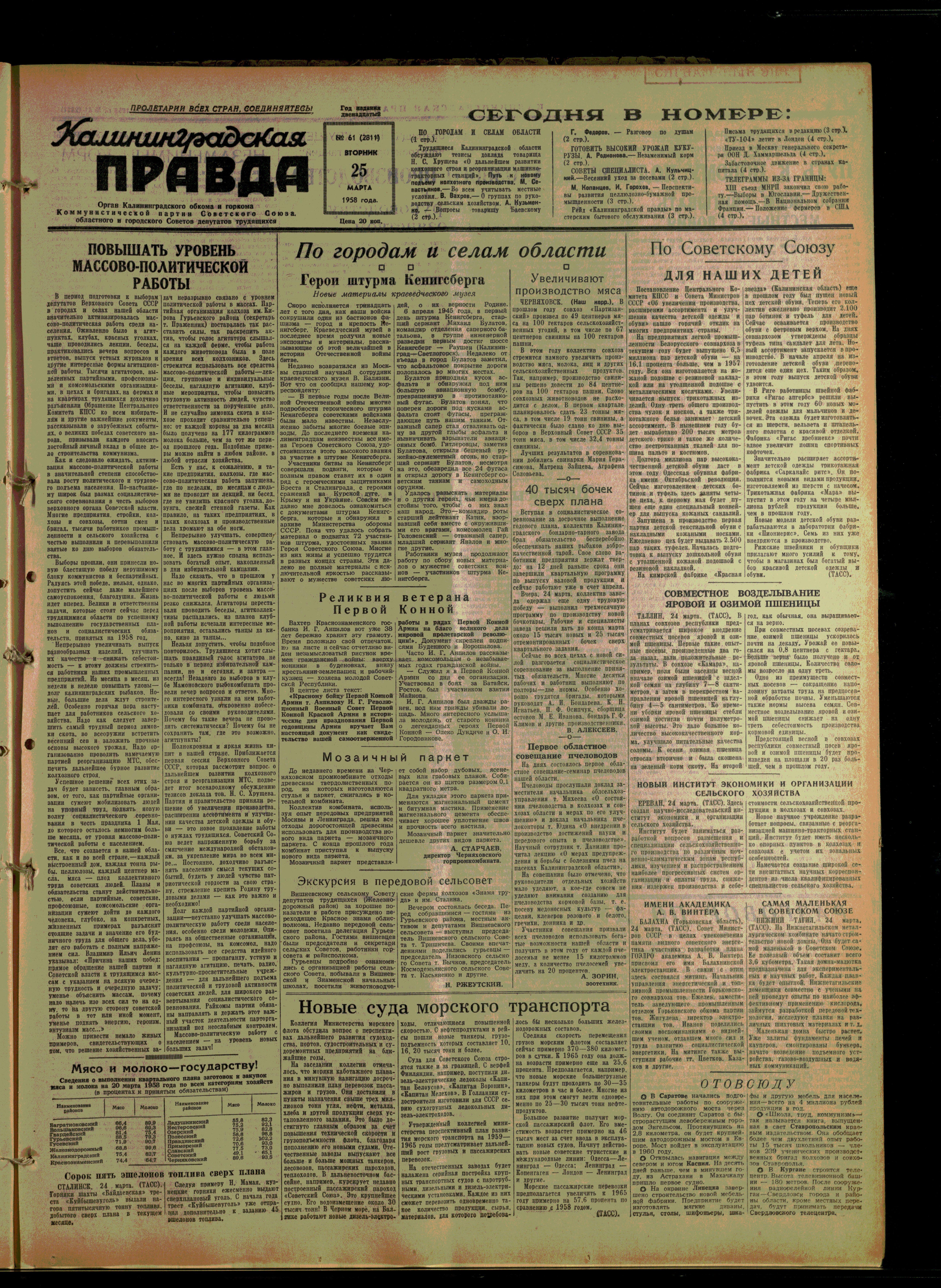 61-3-58-1