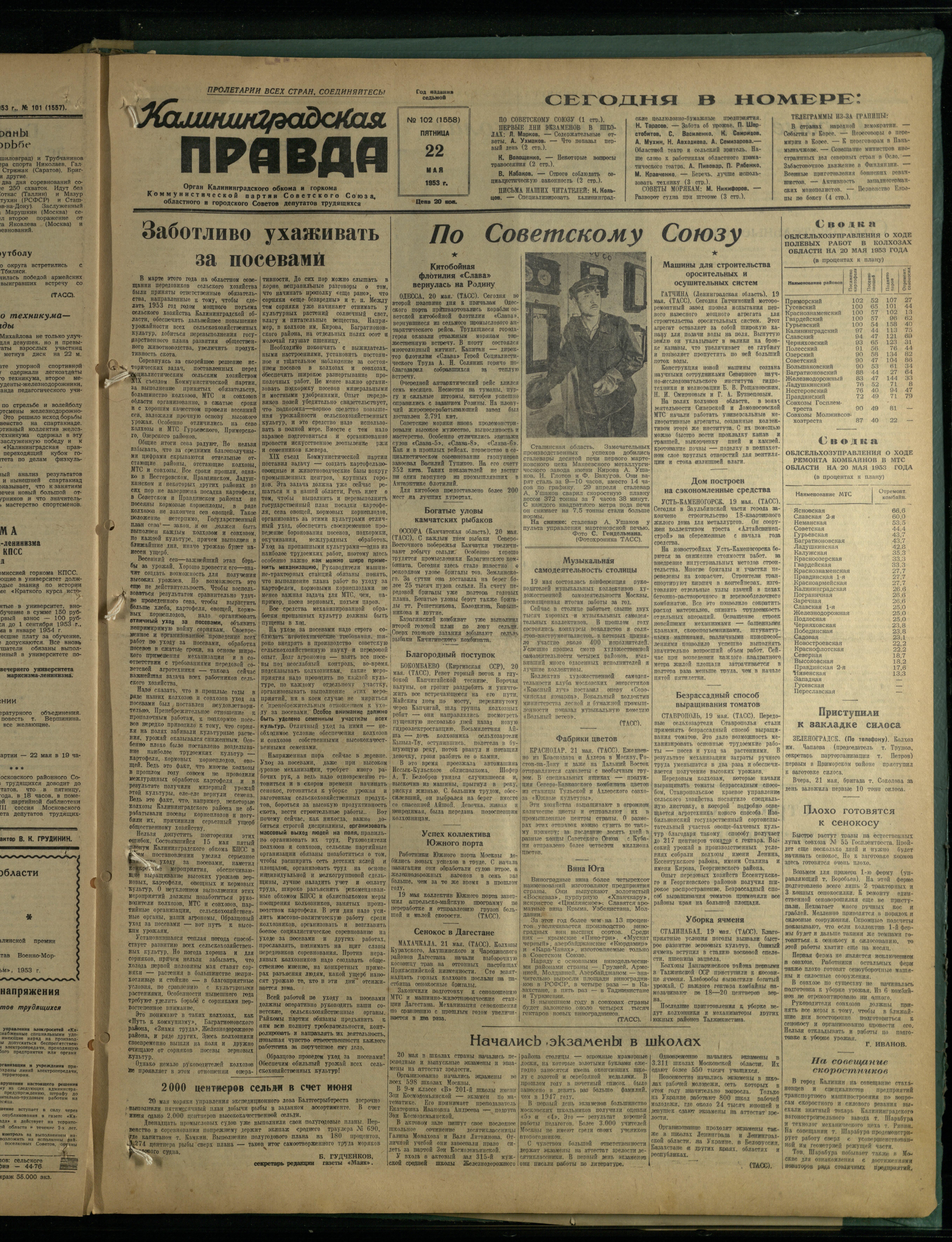 102-5-53-1