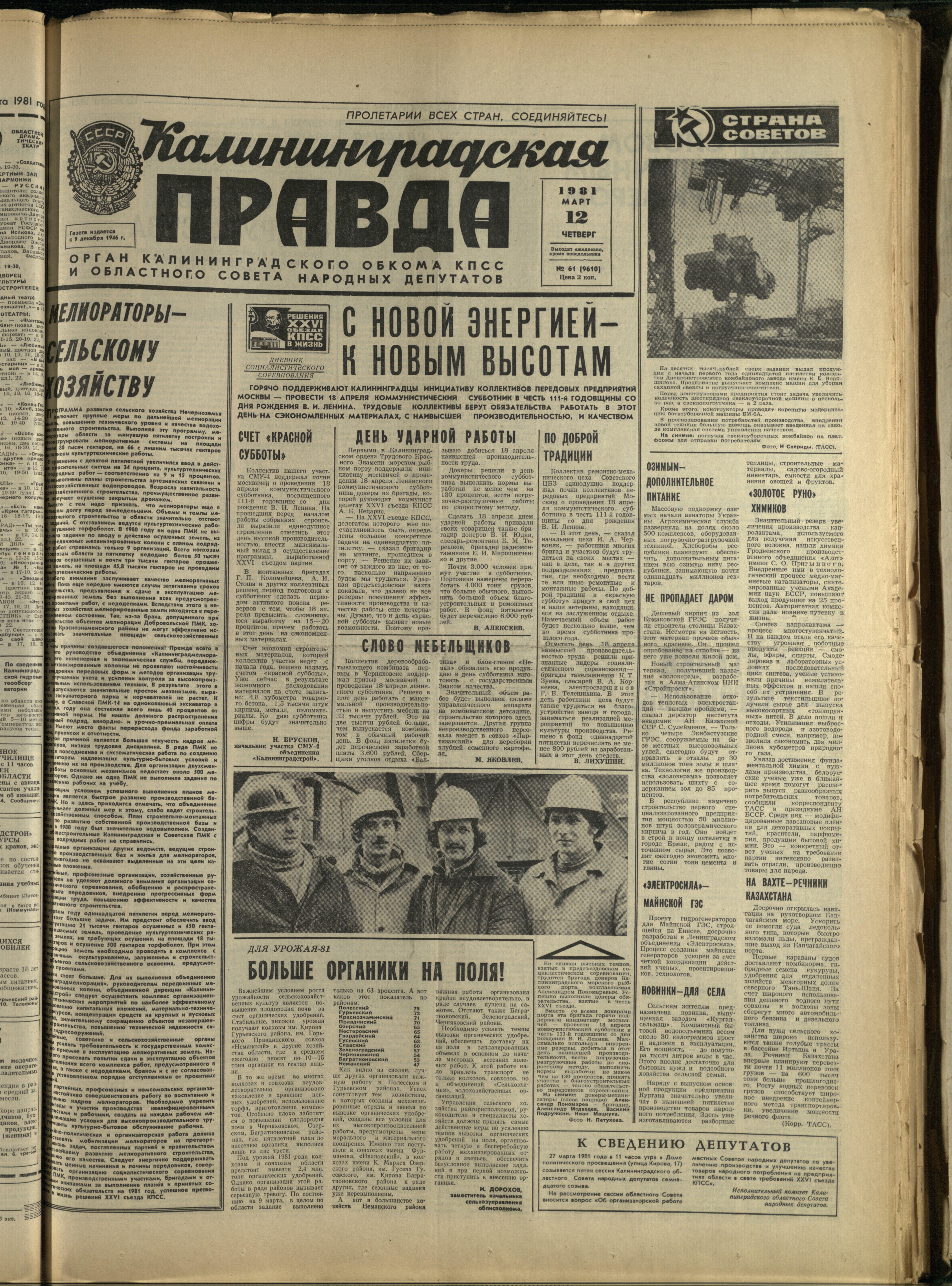 61-3-81-1