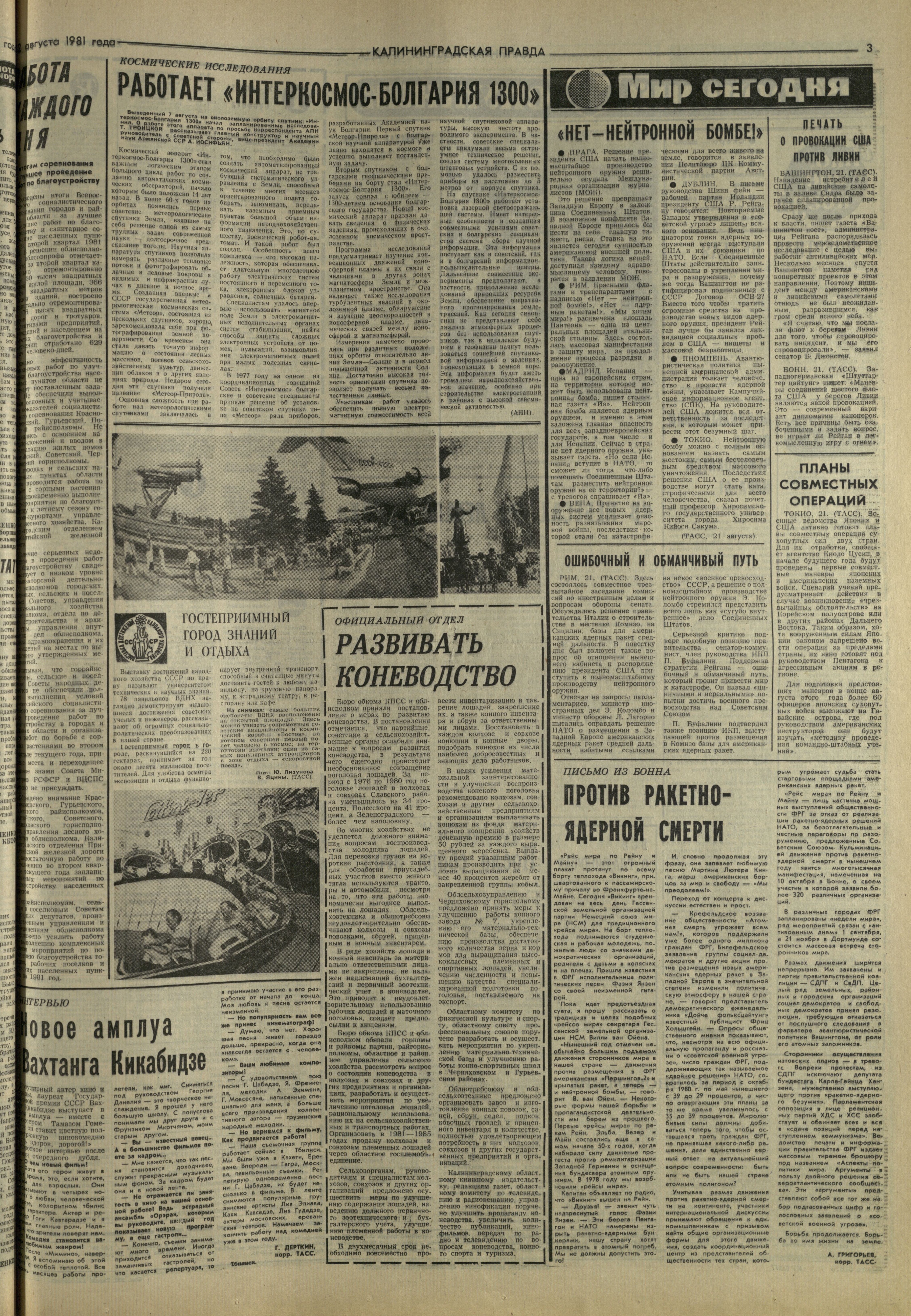 193-8-81-3