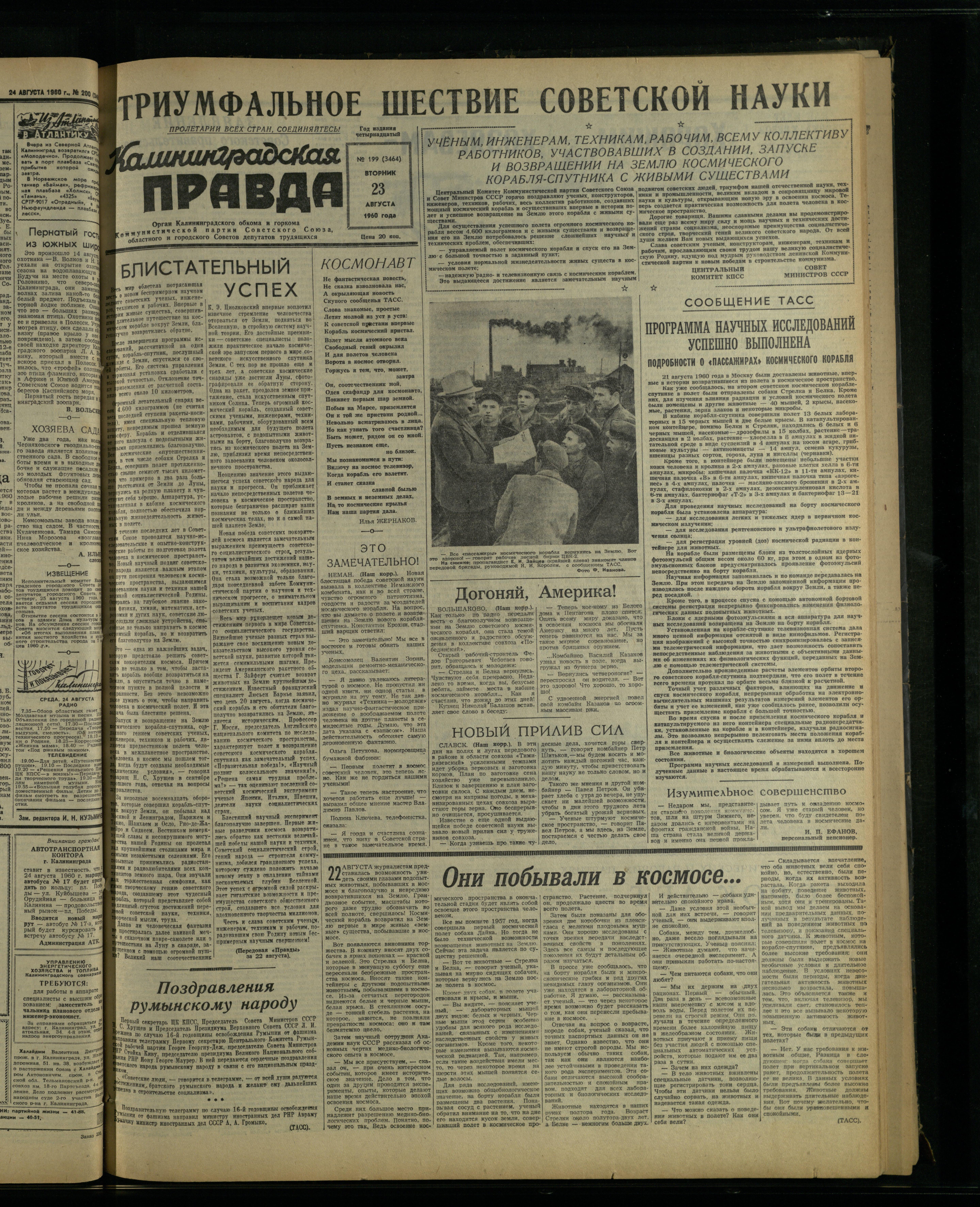 199-8-60-1