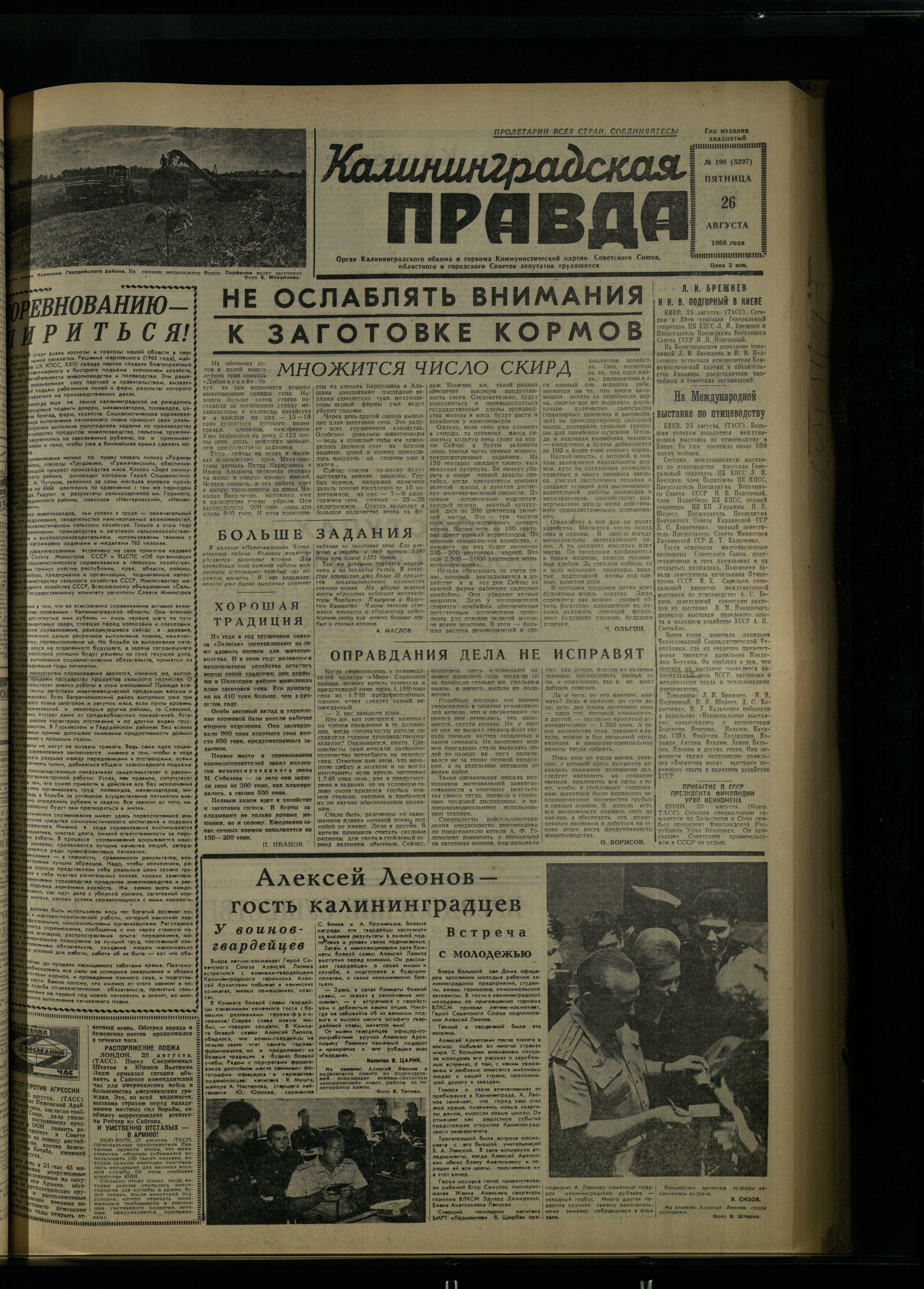 198-8-66-1