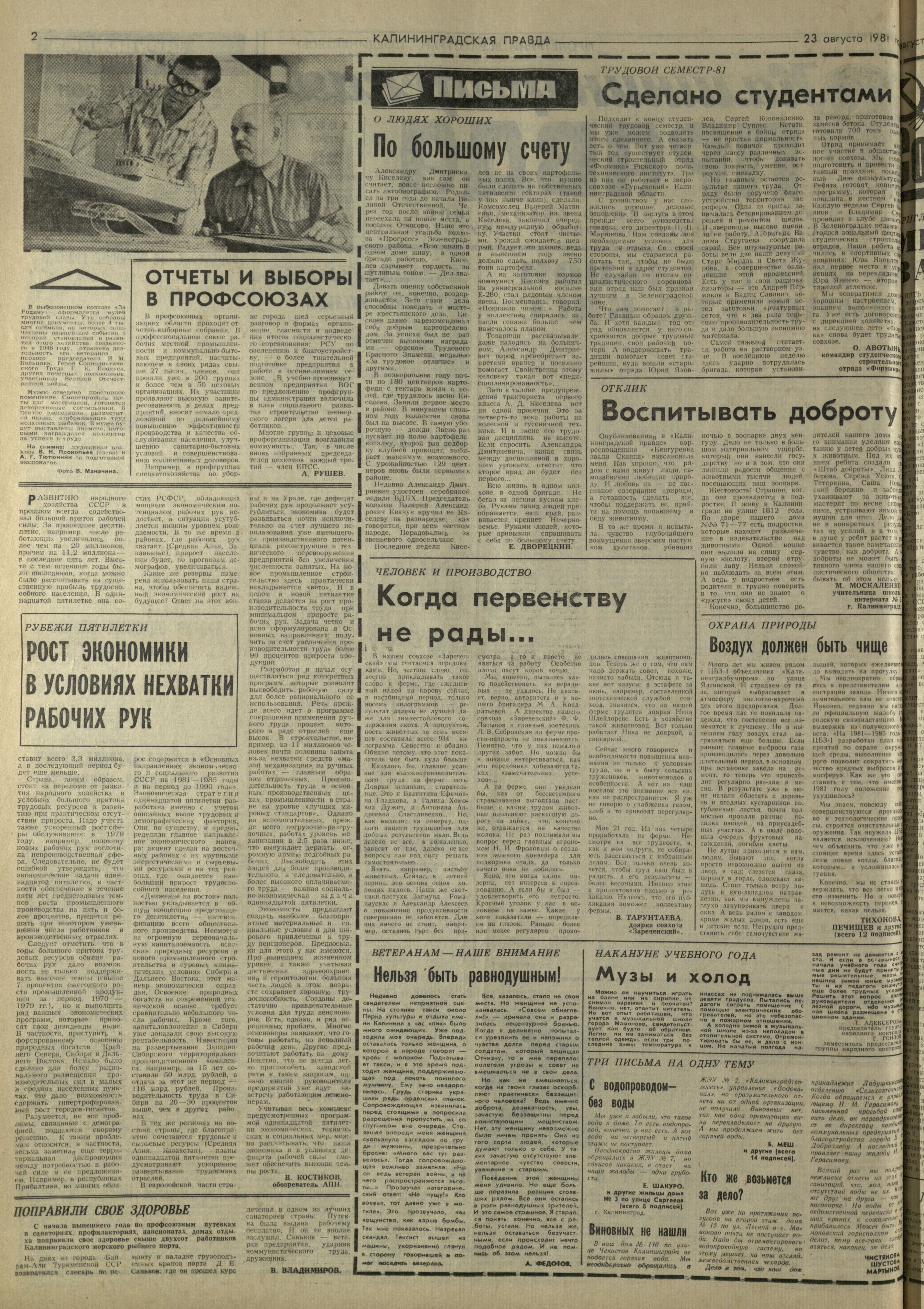 194-8-81-2