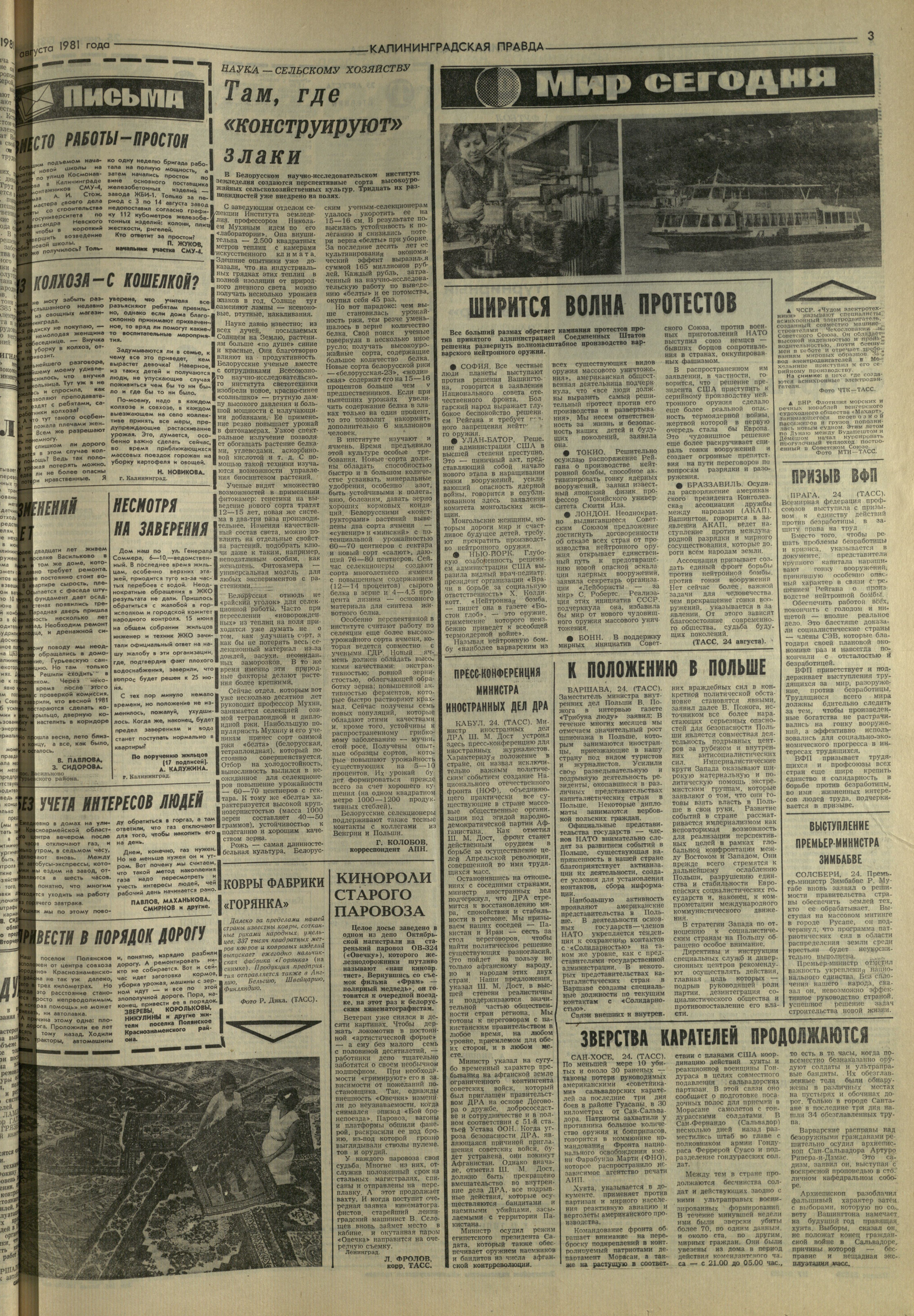 195-8-81-3