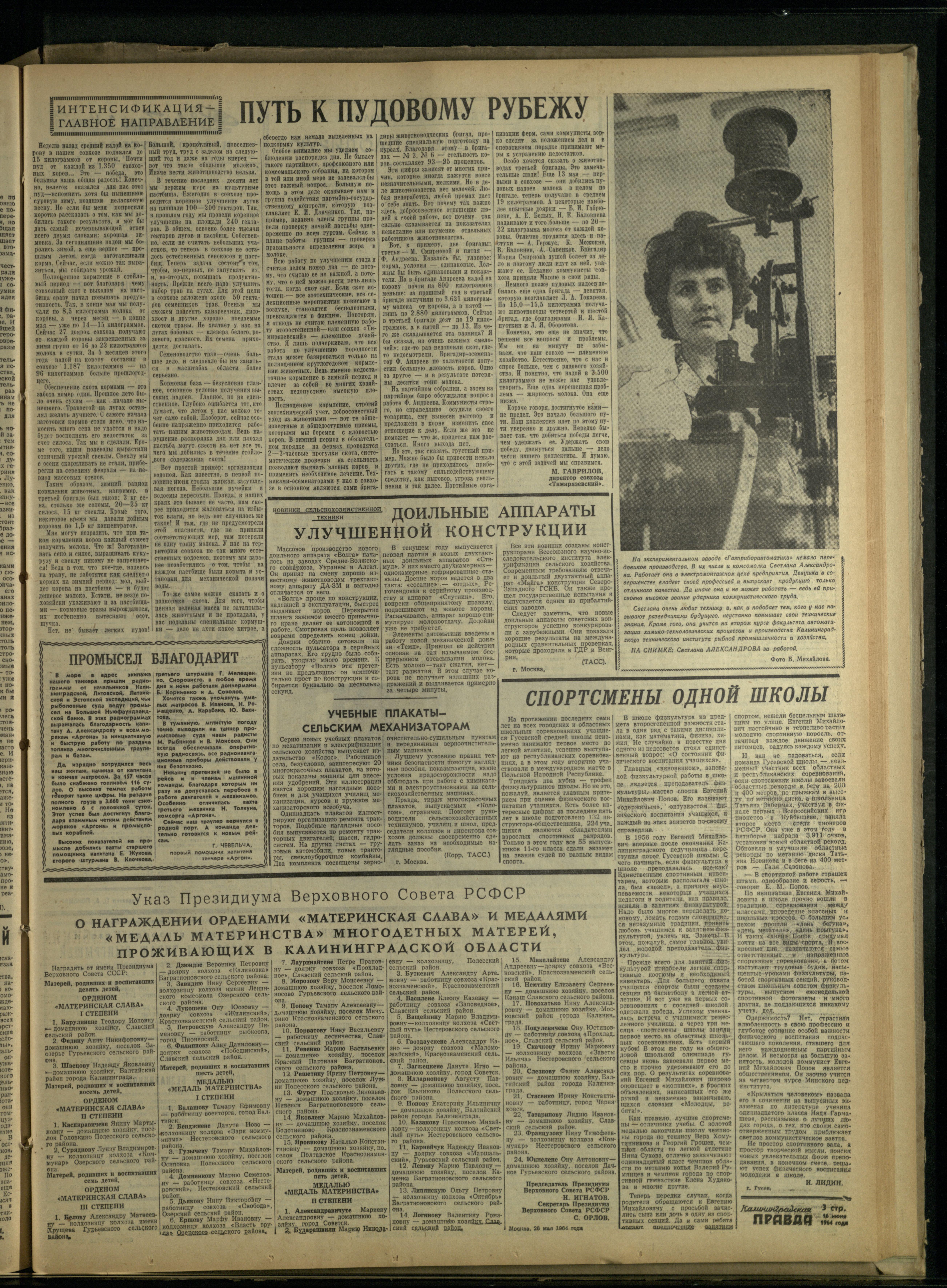 138-6-64-3