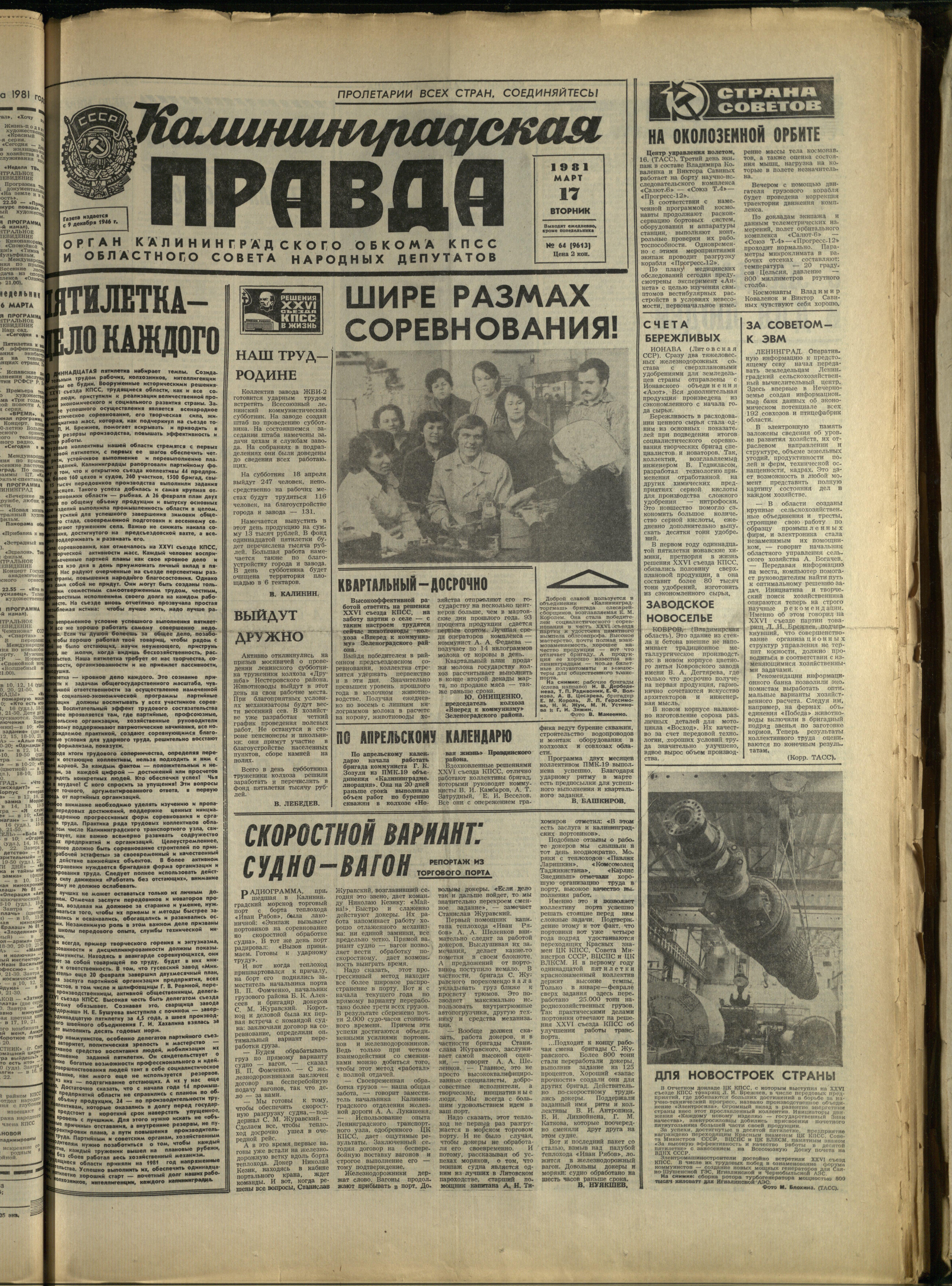 64-3-81-1