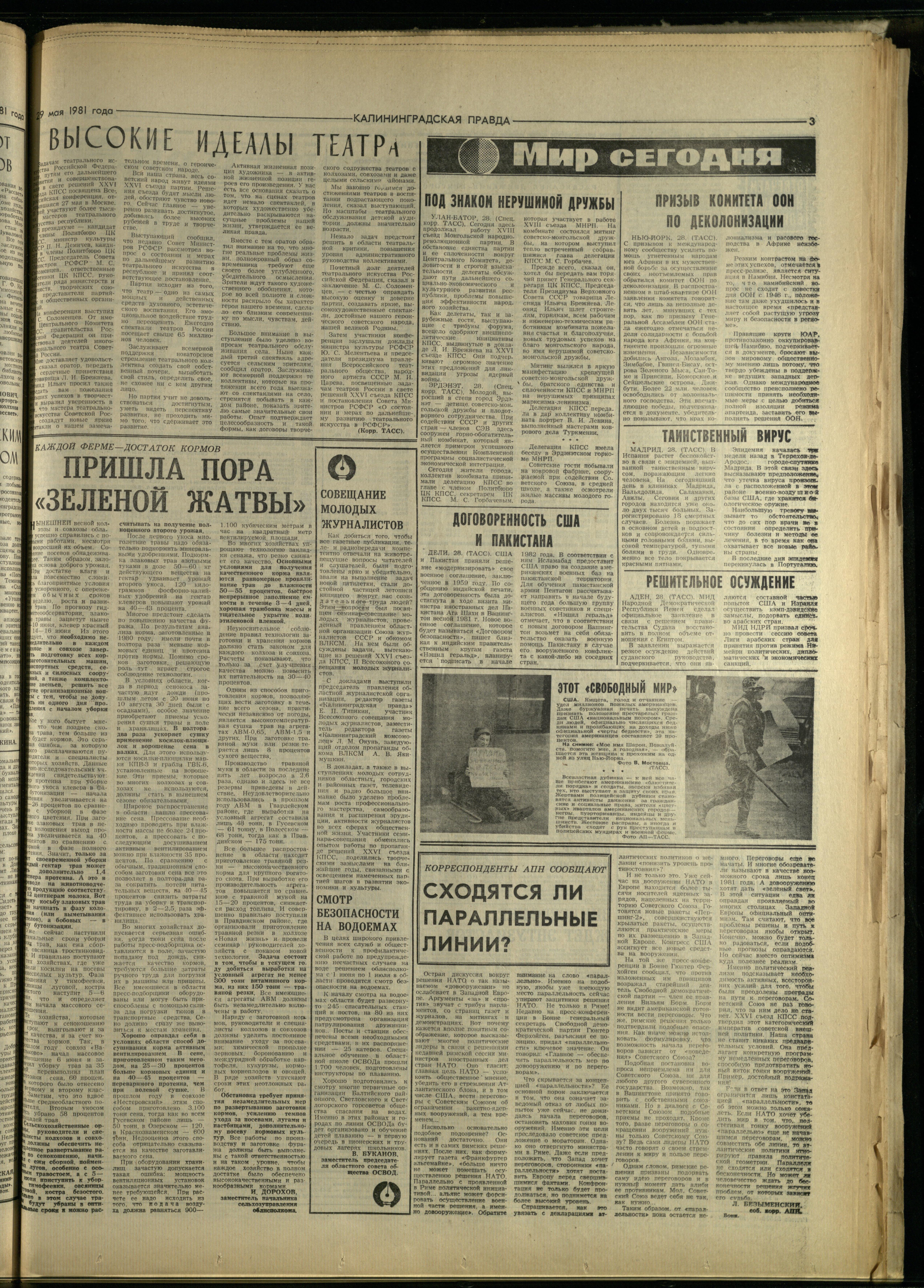 123-5-81-3