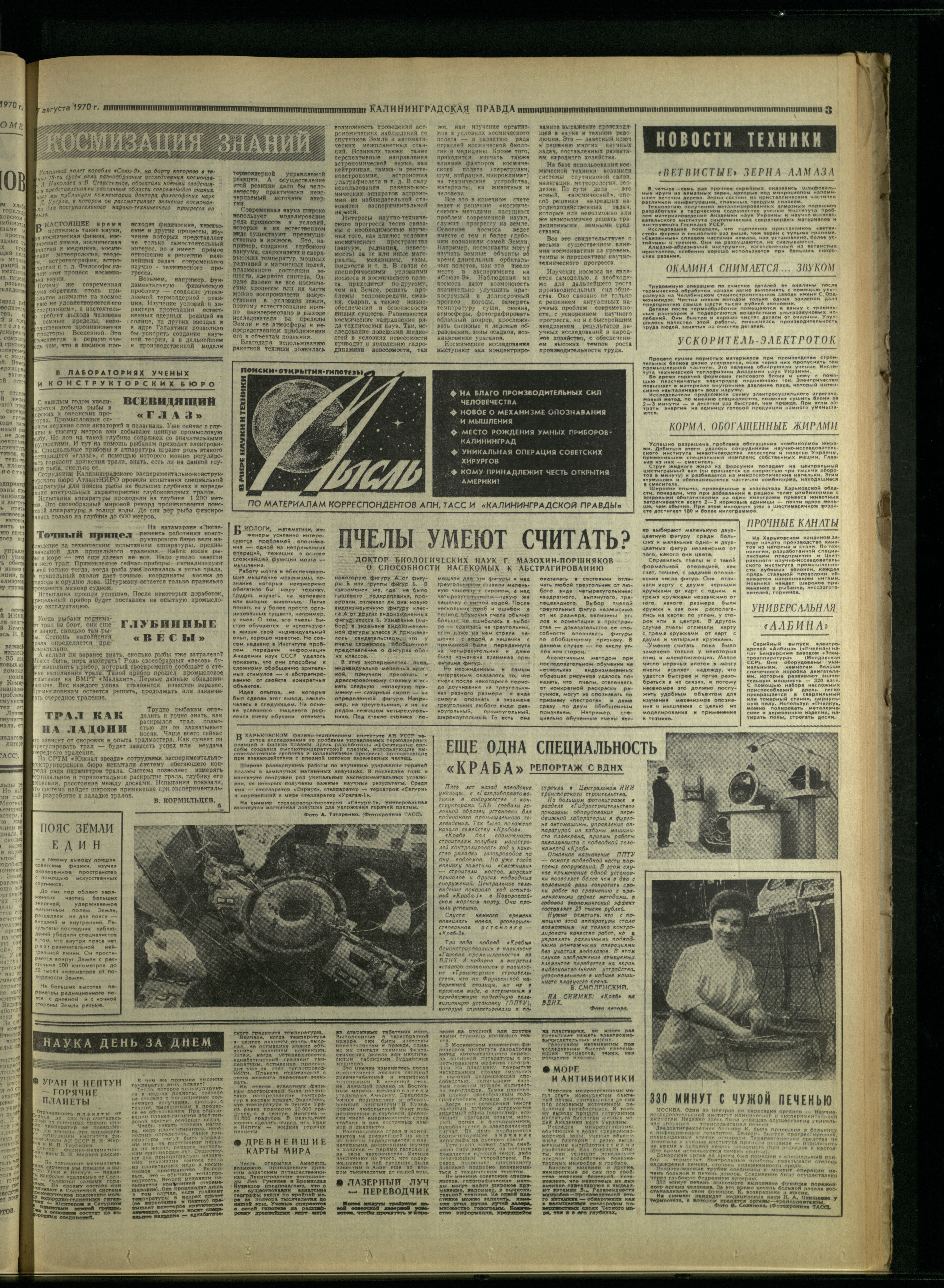 183-8-70-3