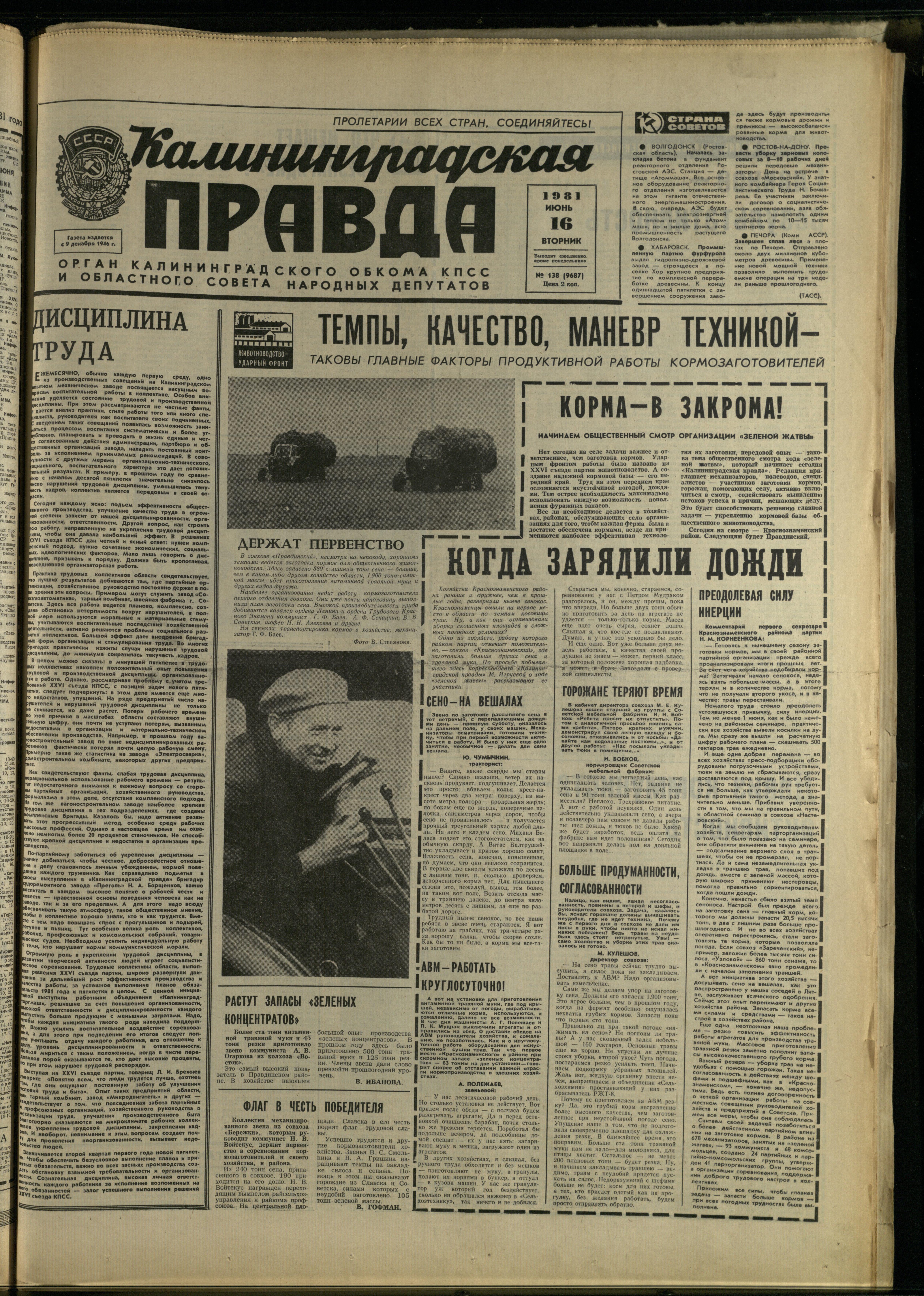 138-6-81-1