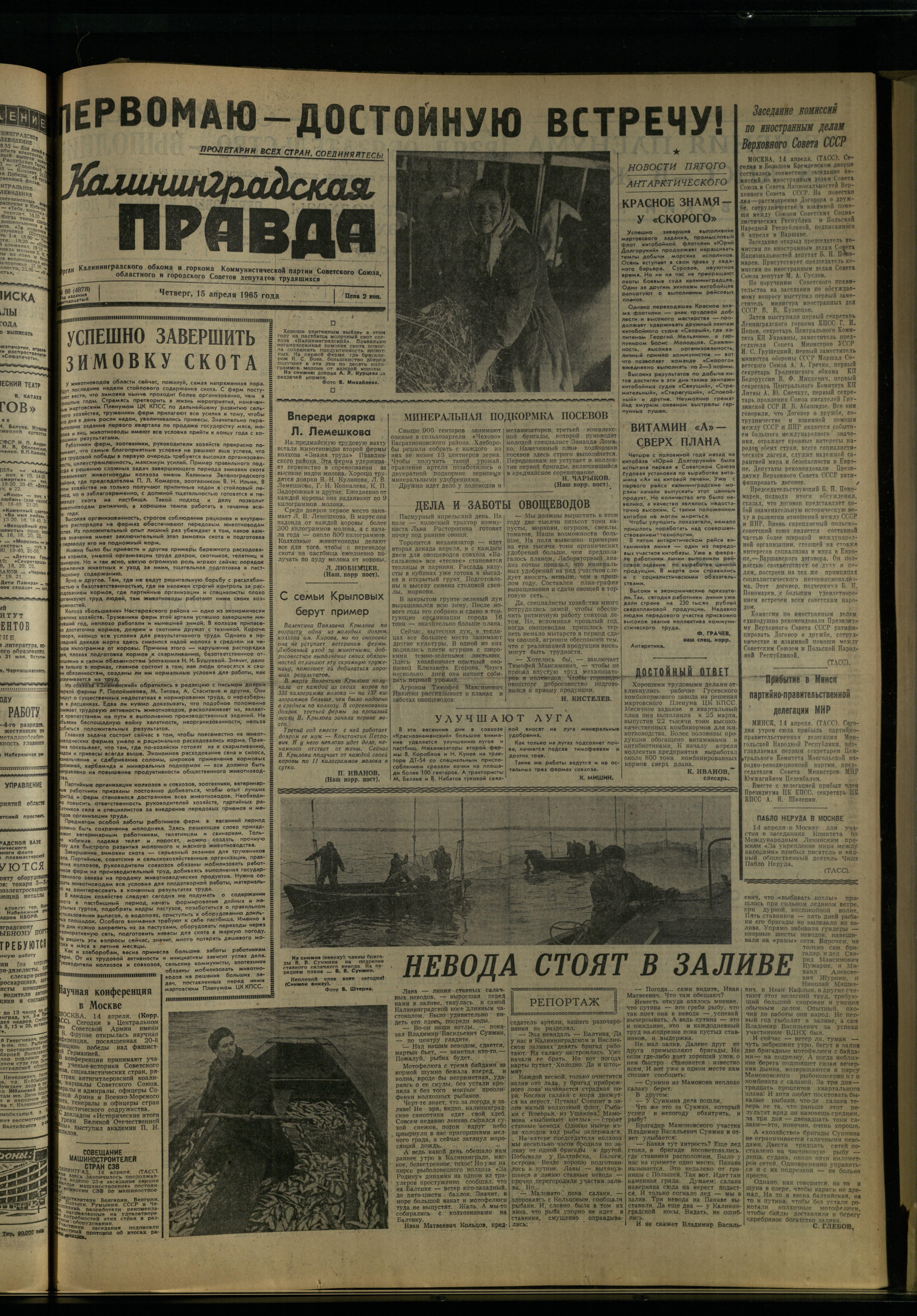 88-4-65-1