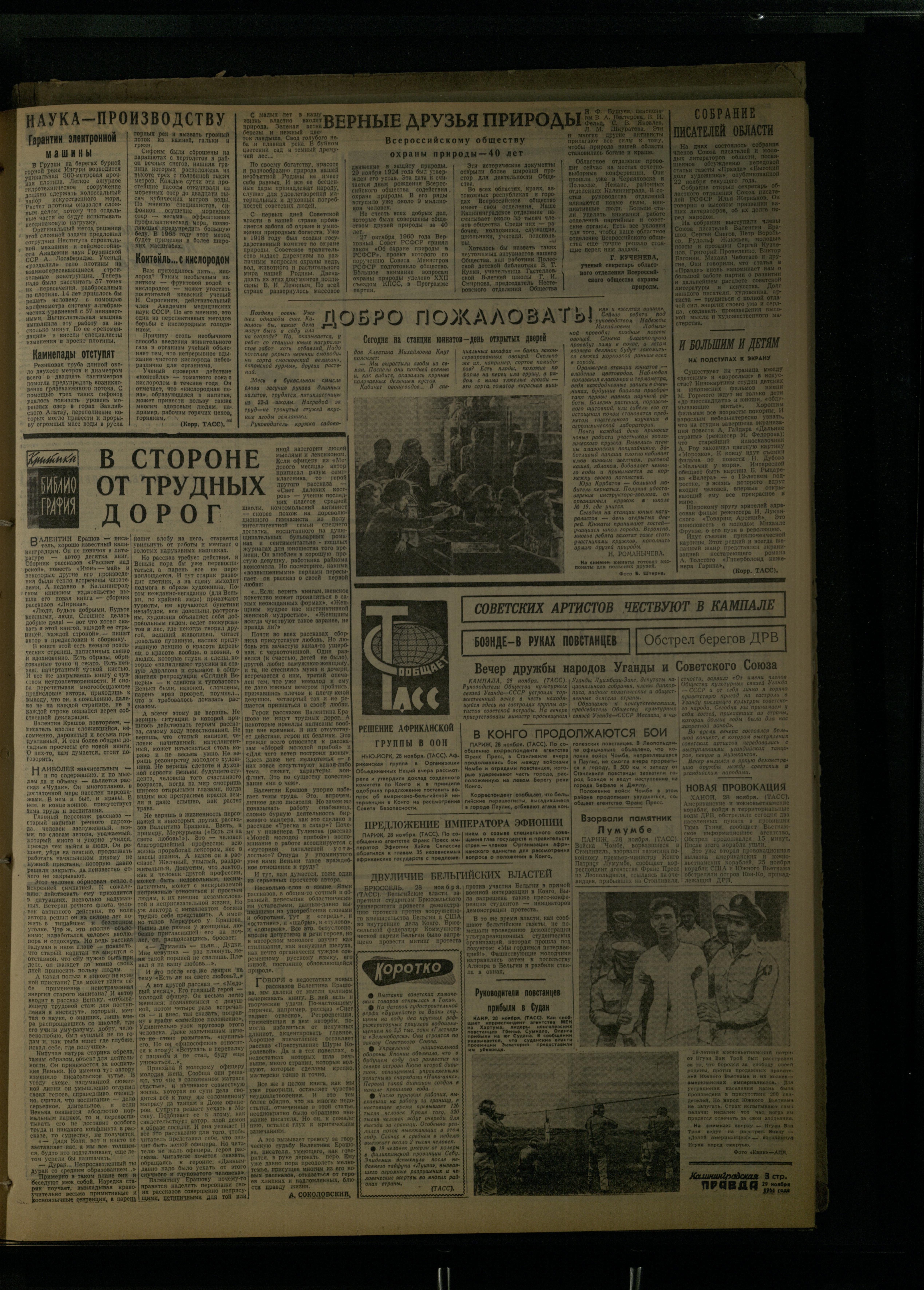 281-11-64-3