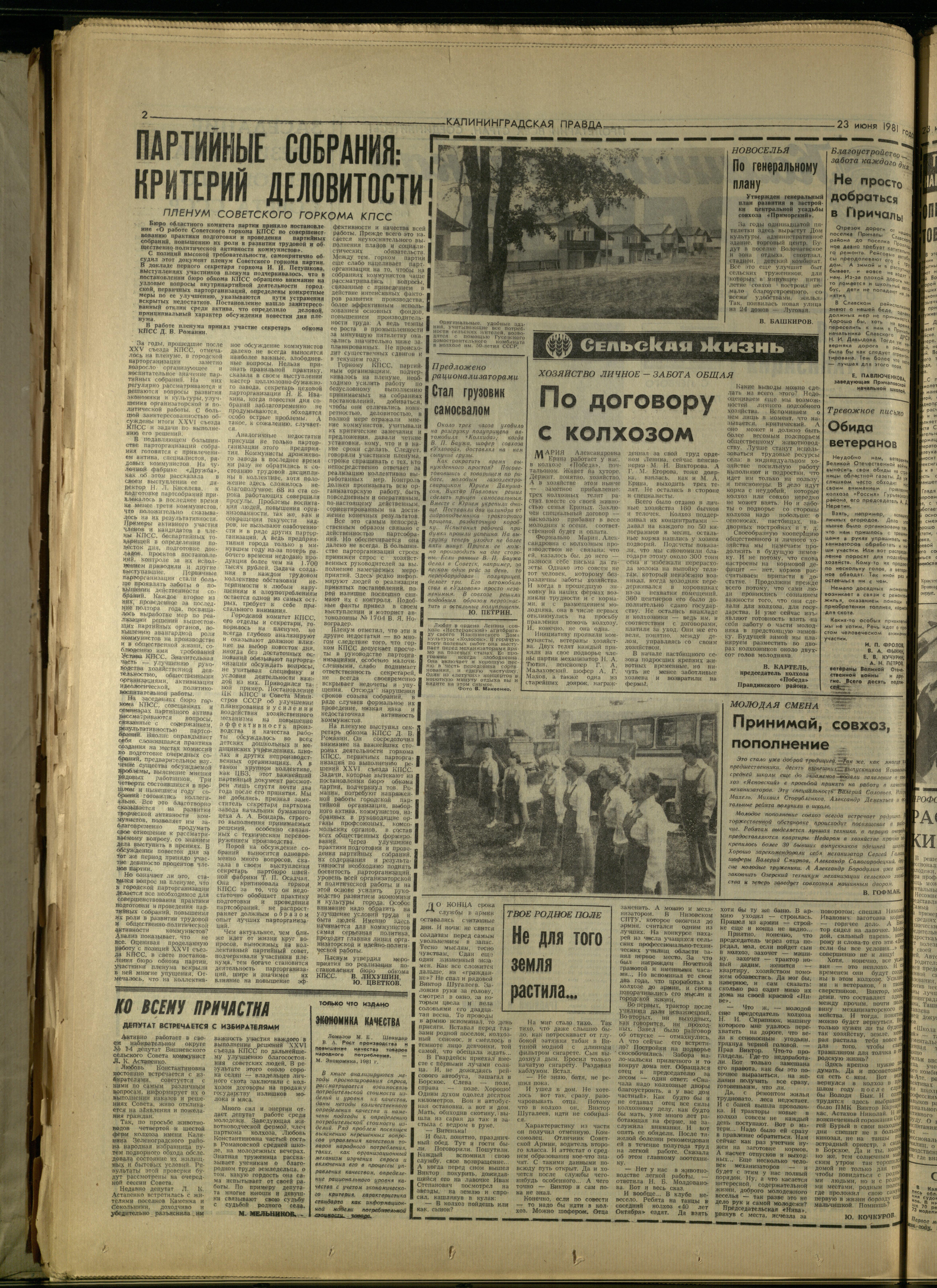 143-6-81-2