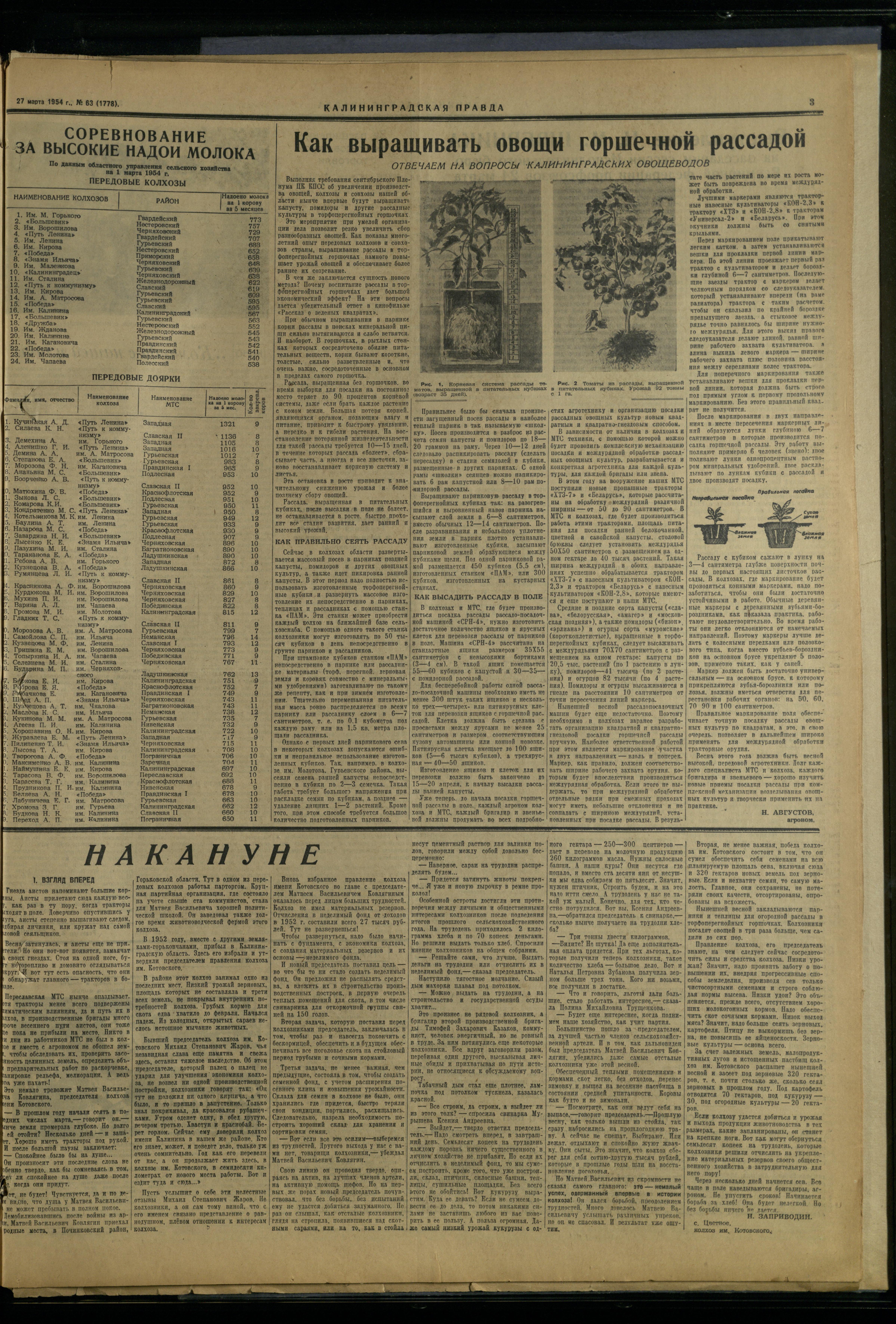 63-3-54-3