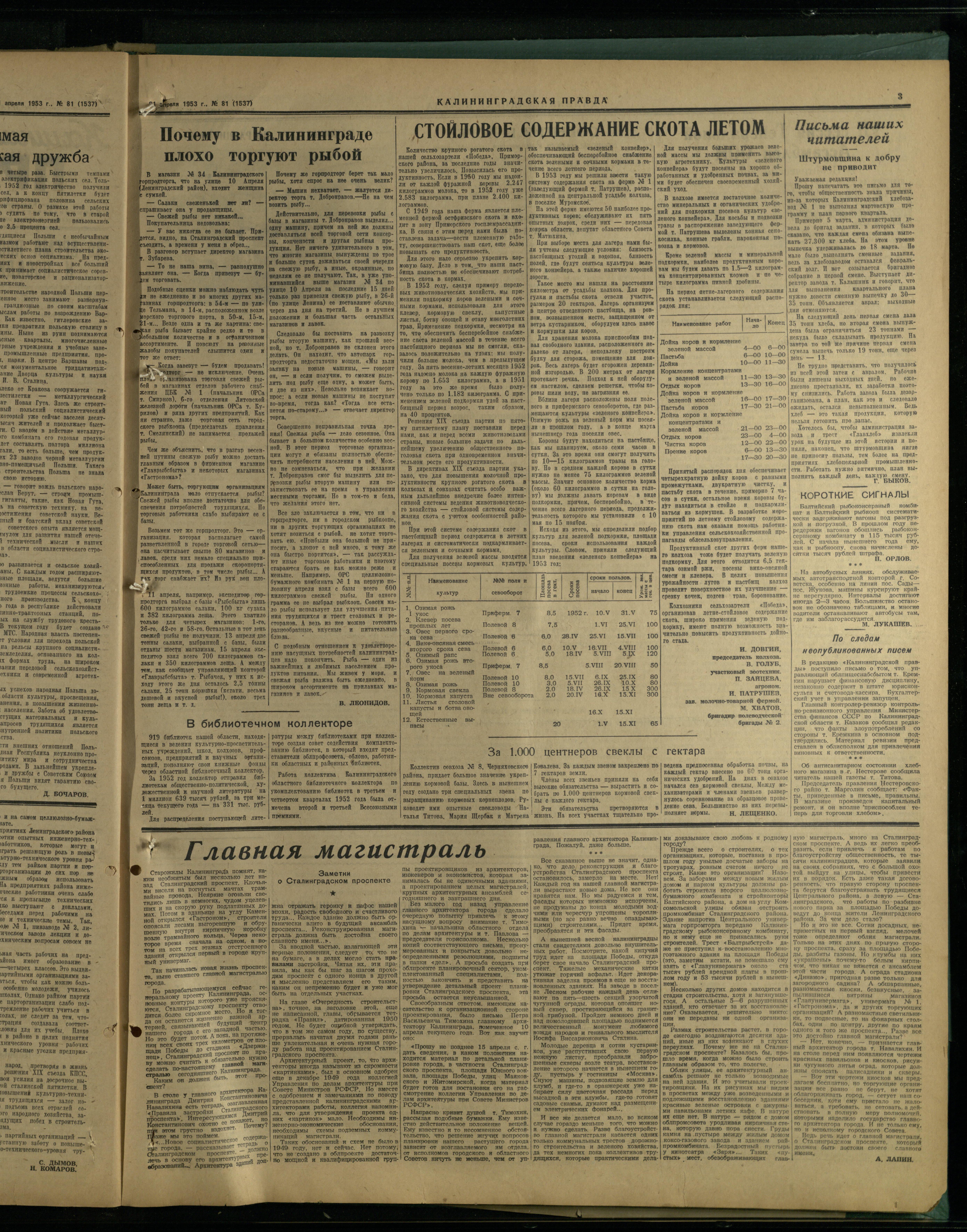 81-4-53-3